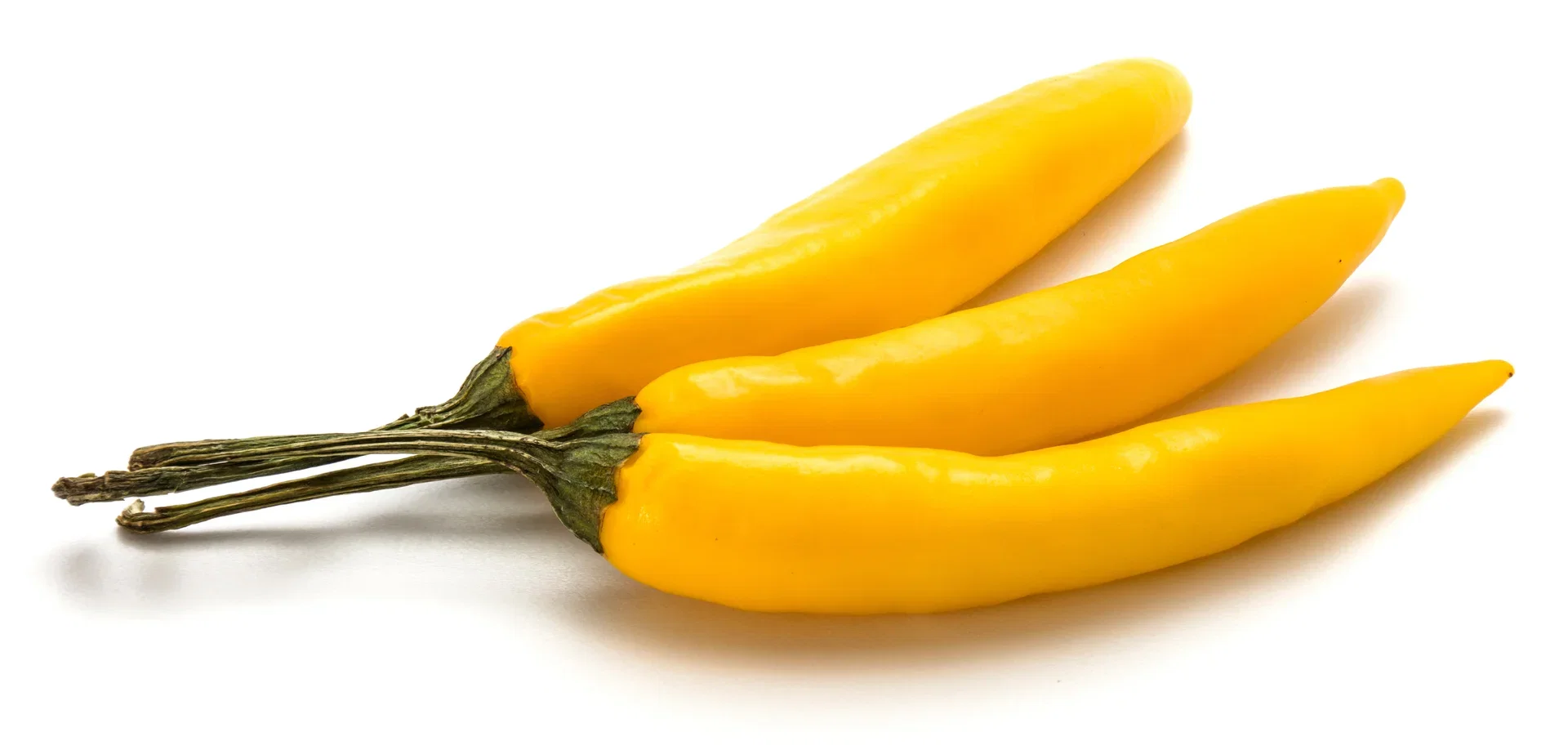 All N. Capsicum Chili 'Lemon' 10,5 cm