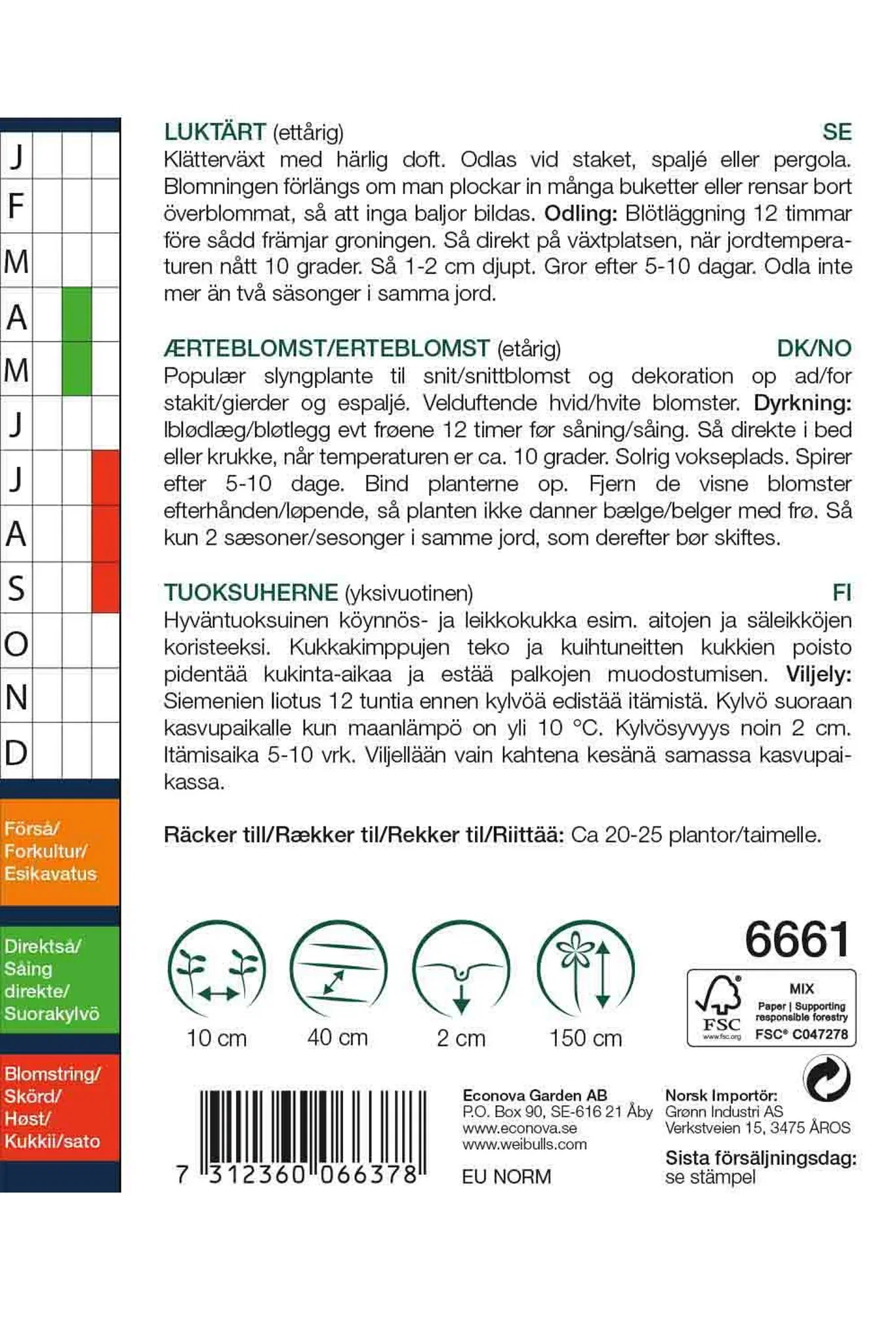 Erteblomst 'Royal White'