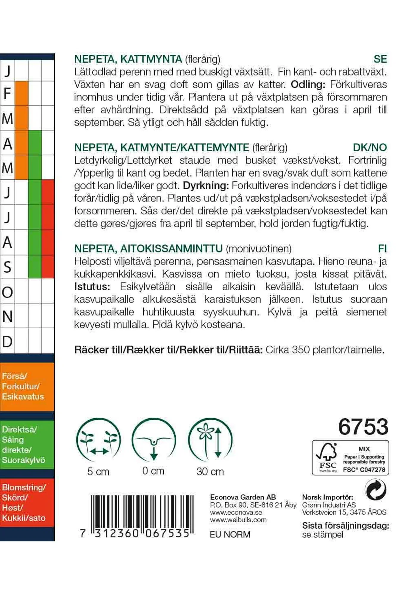 Kattemynte 'Musslinii'