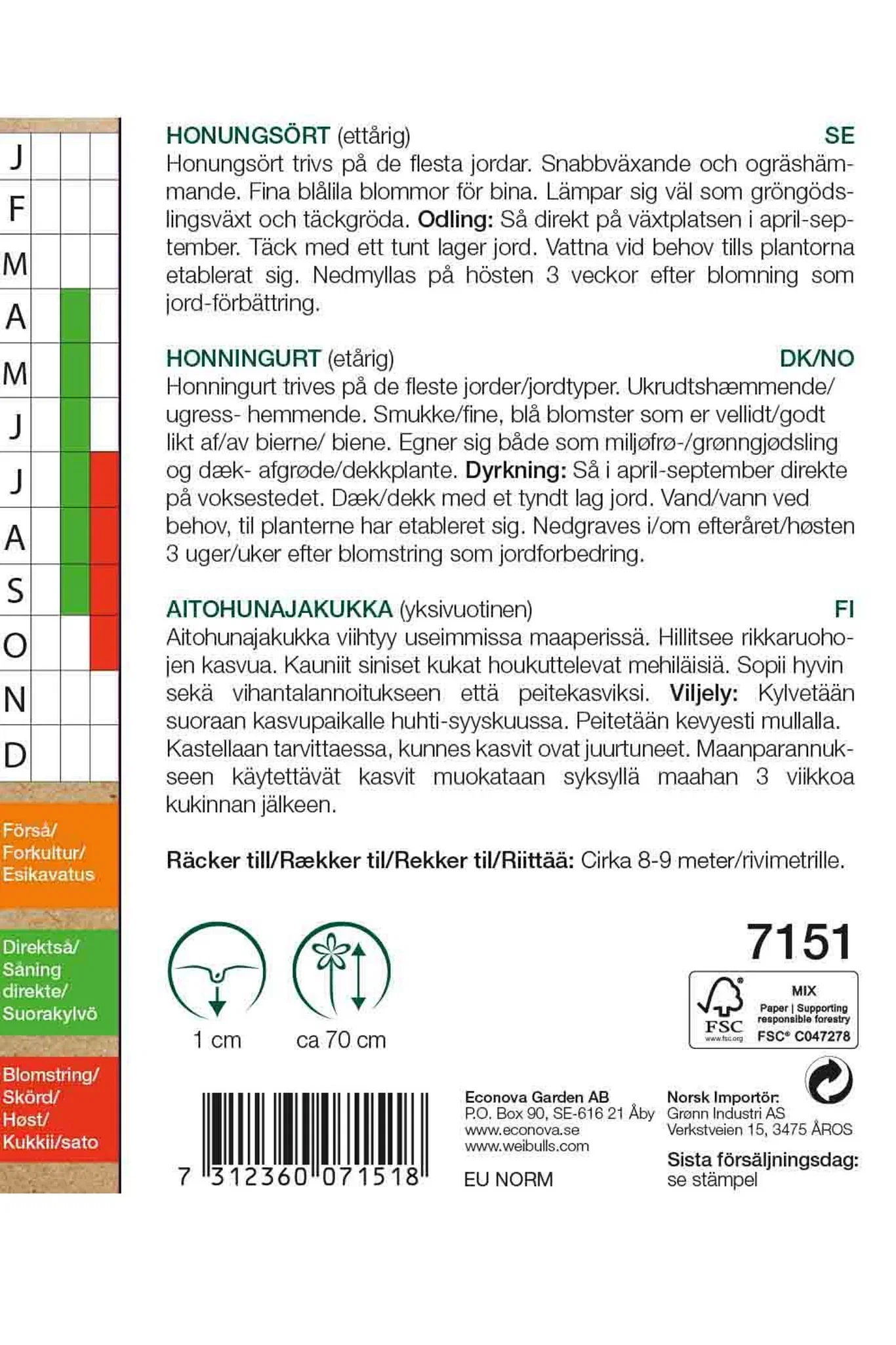 Phacelia tanacetifolia