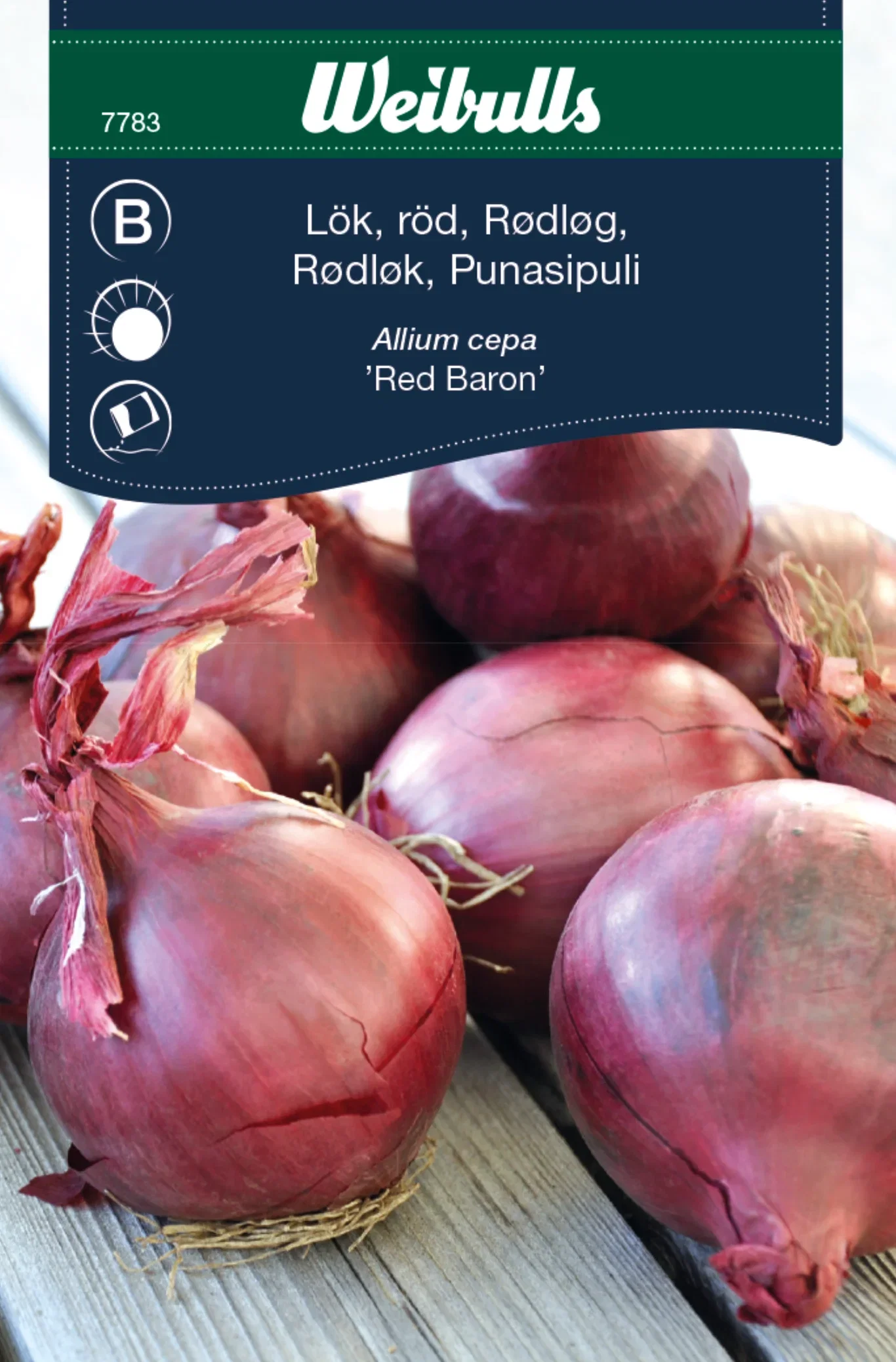 Rødløk 'Red Baron'