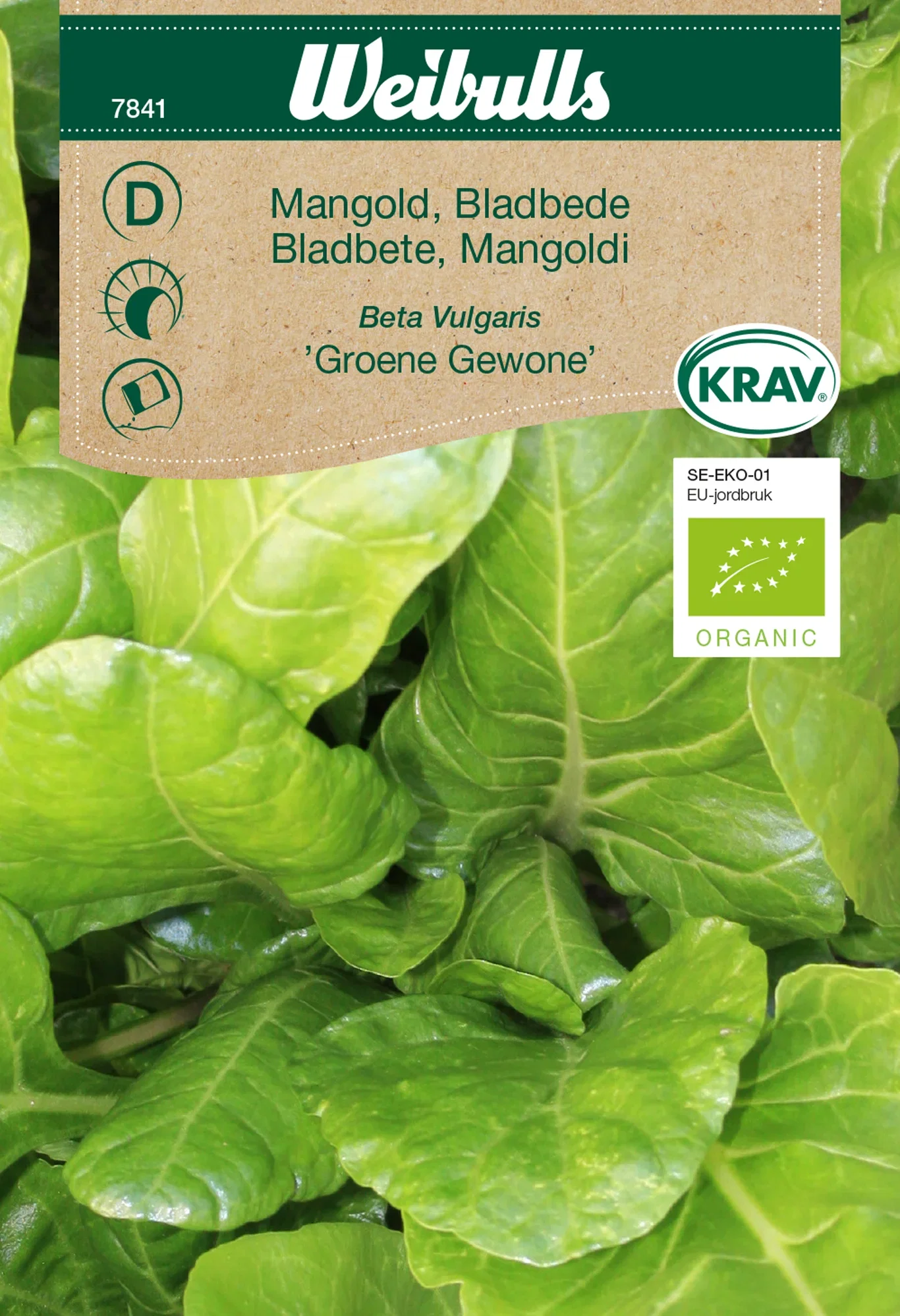 Bladbete 'Groene Gewone' KRAV