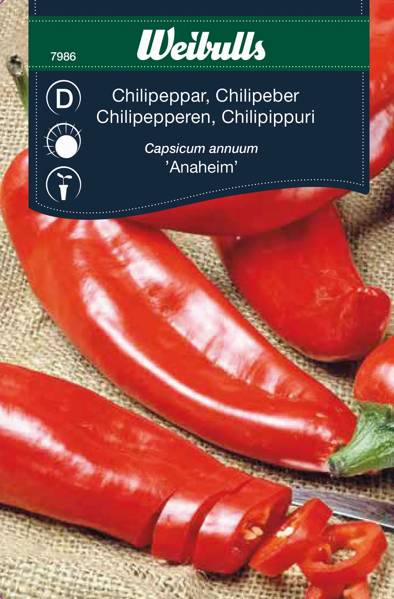 Capsicum annuum