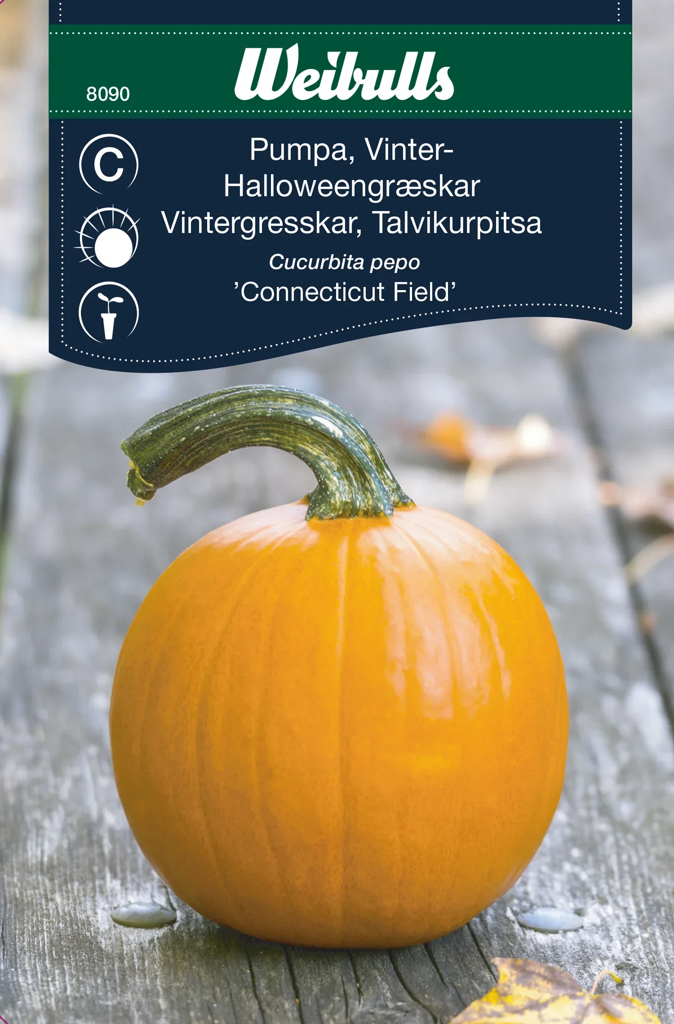 Gresskar 'Connecticut Field'