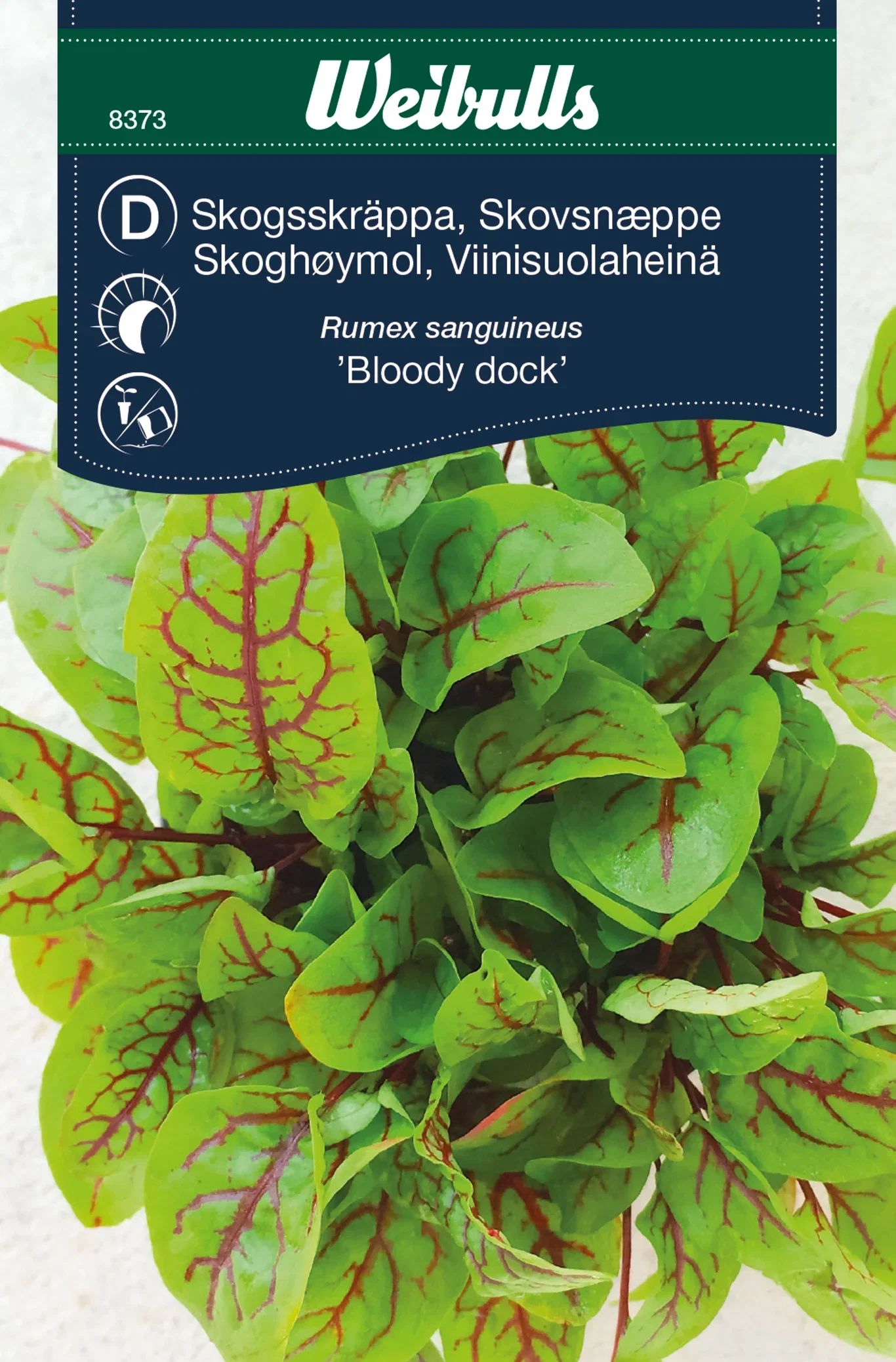 Skoghøymol 'Bloody Dock'
