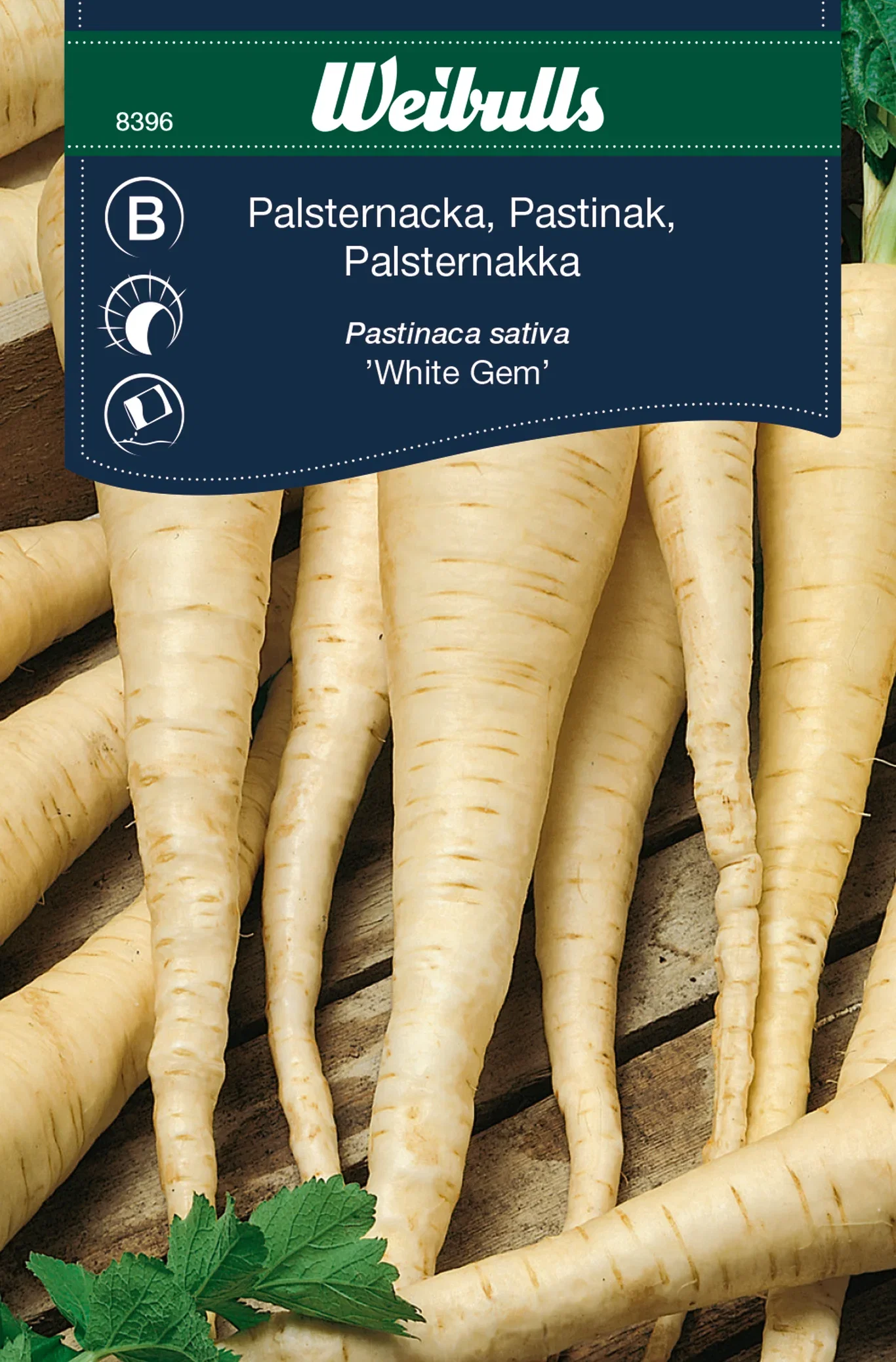 Pastinakk 'White Gem'