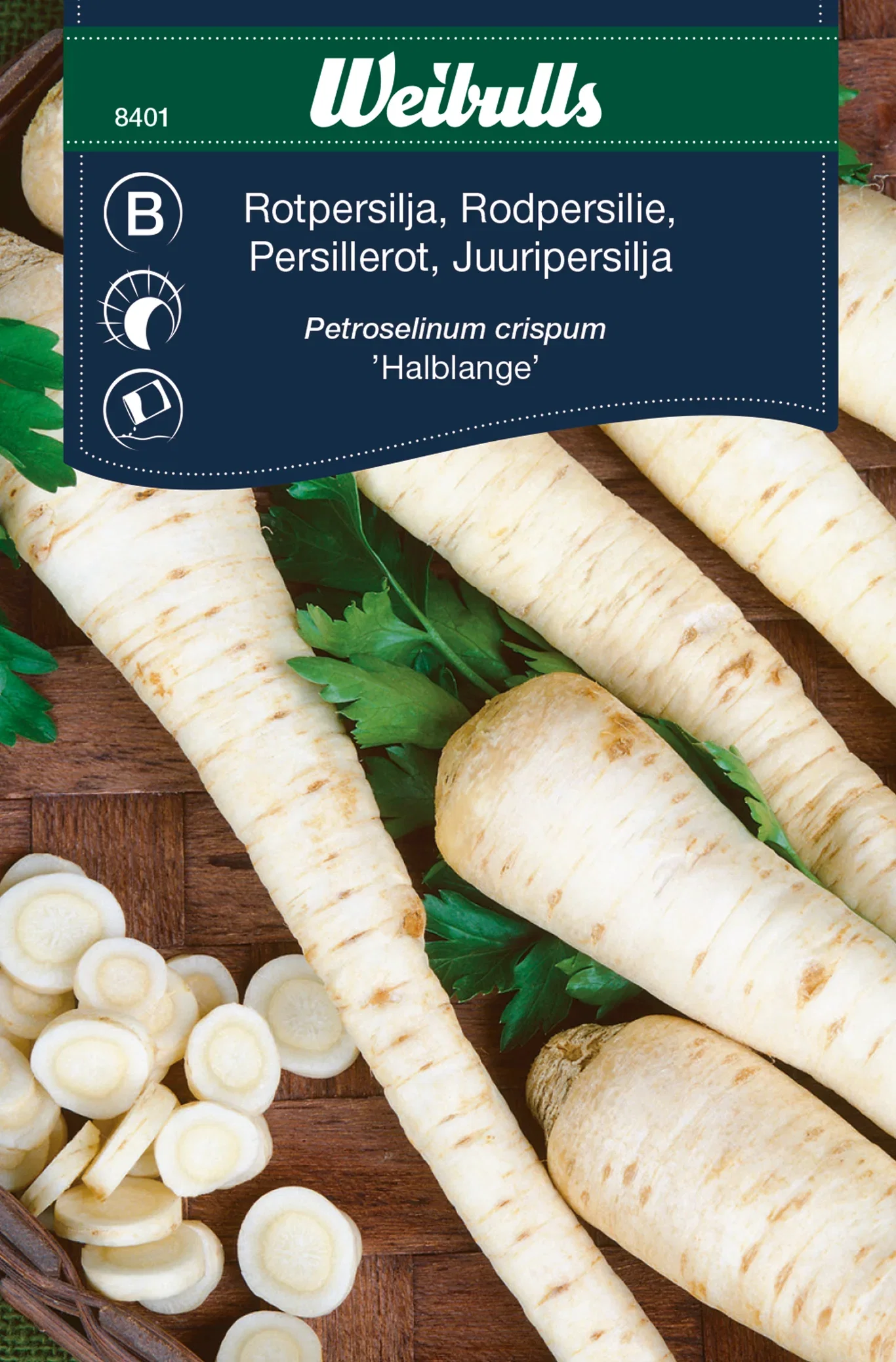 Petroselinum crispum