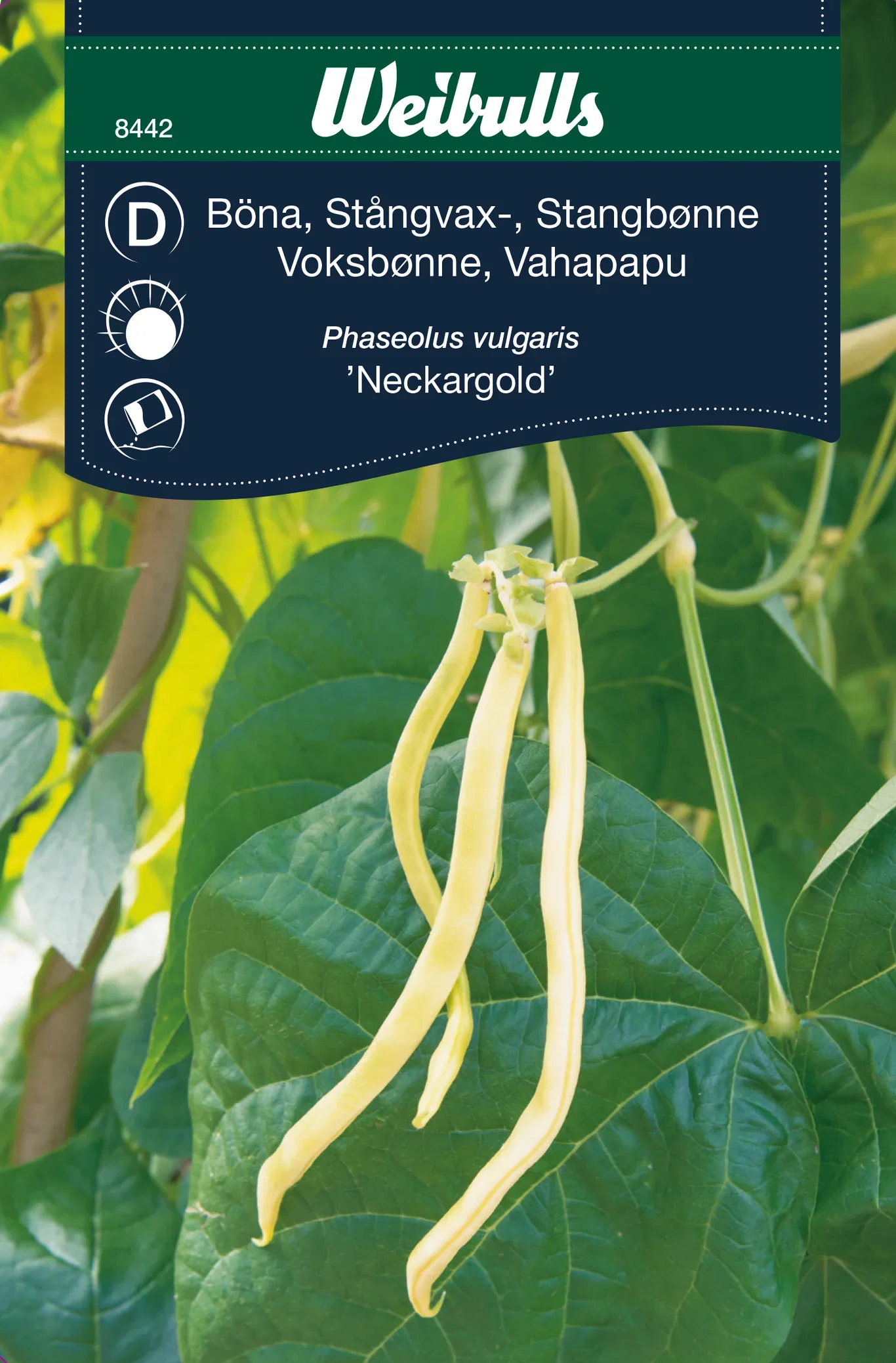 Voksbønne 'Neckargold'
