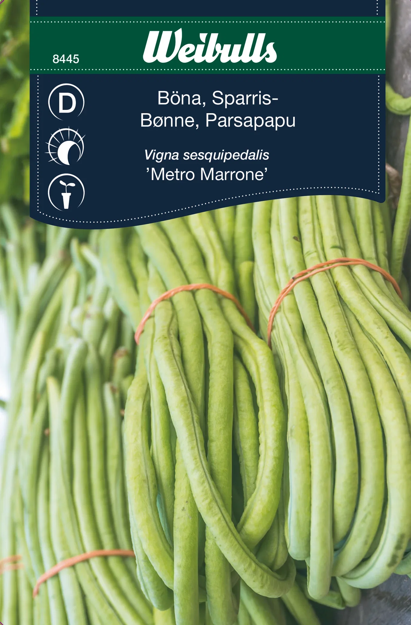 Aspargesbønne 'Metro Marrone'