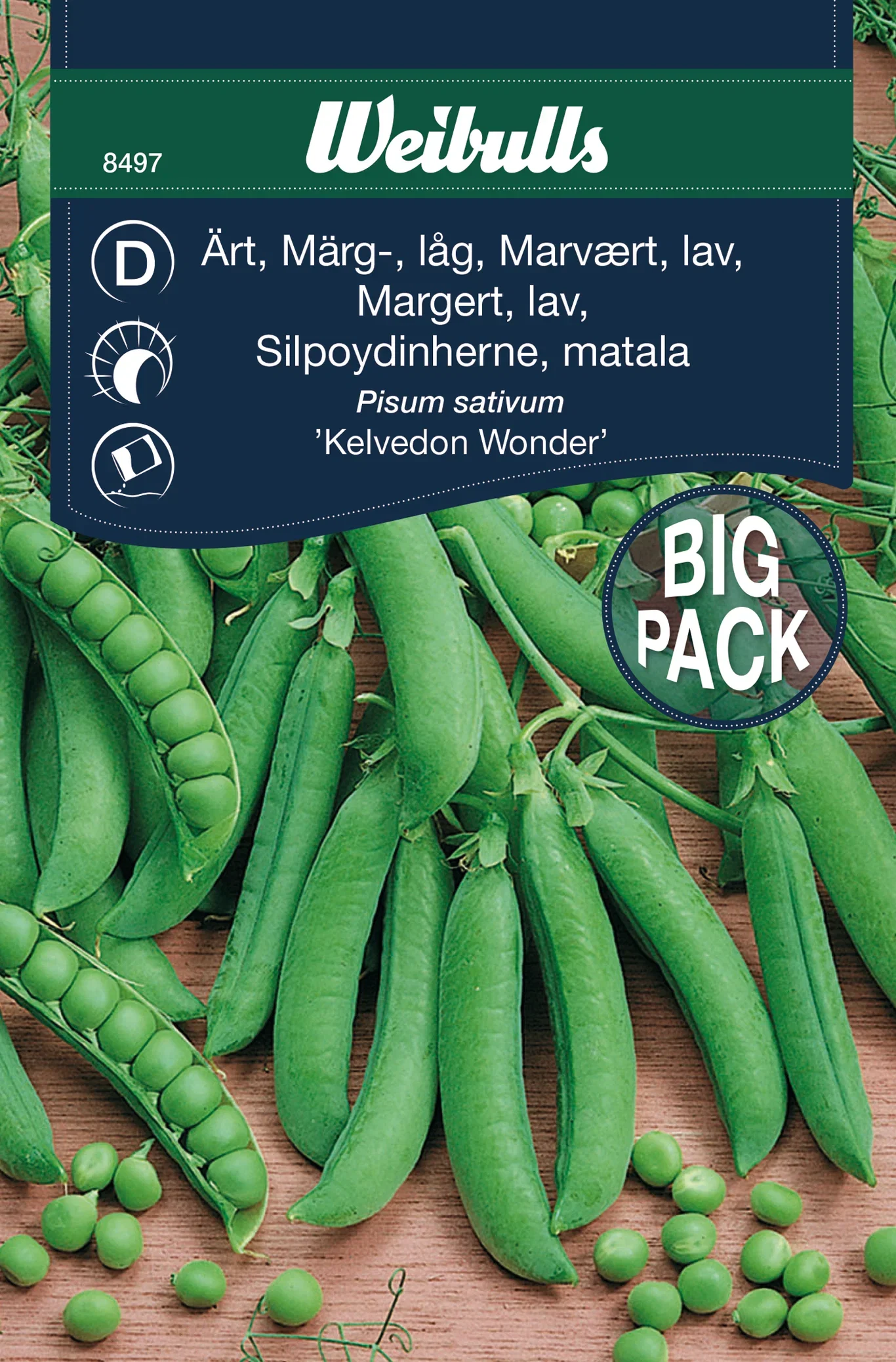 Margert 'Kelvedon Wonder'