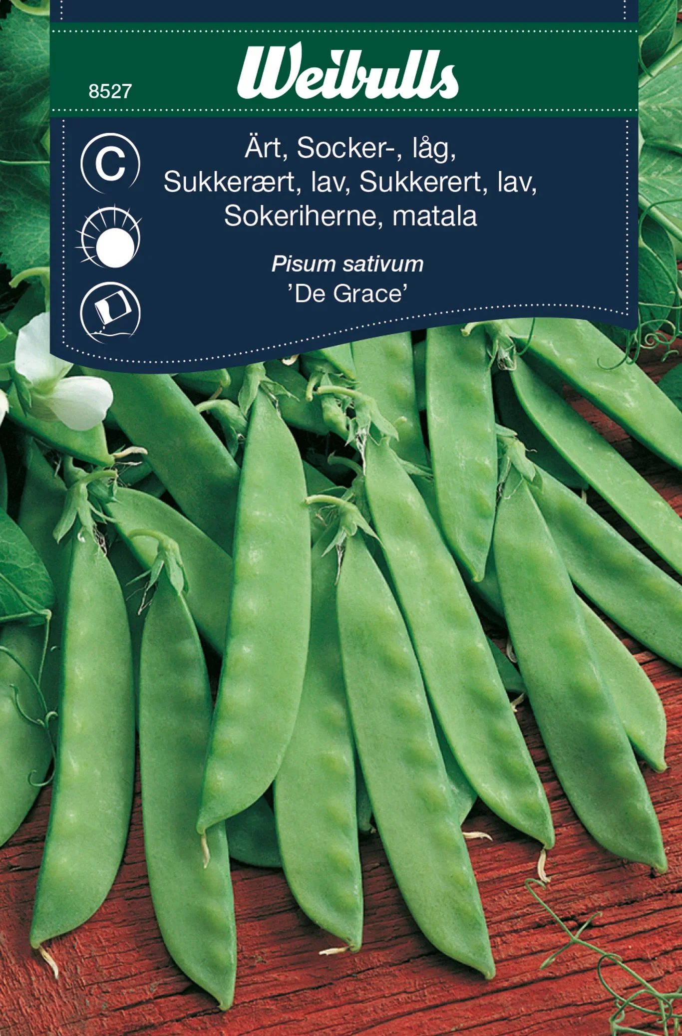 Sukkerert 'De Grace'