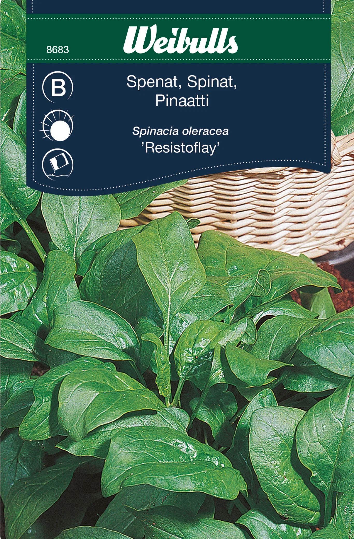 Spinat 'Resistoflay'