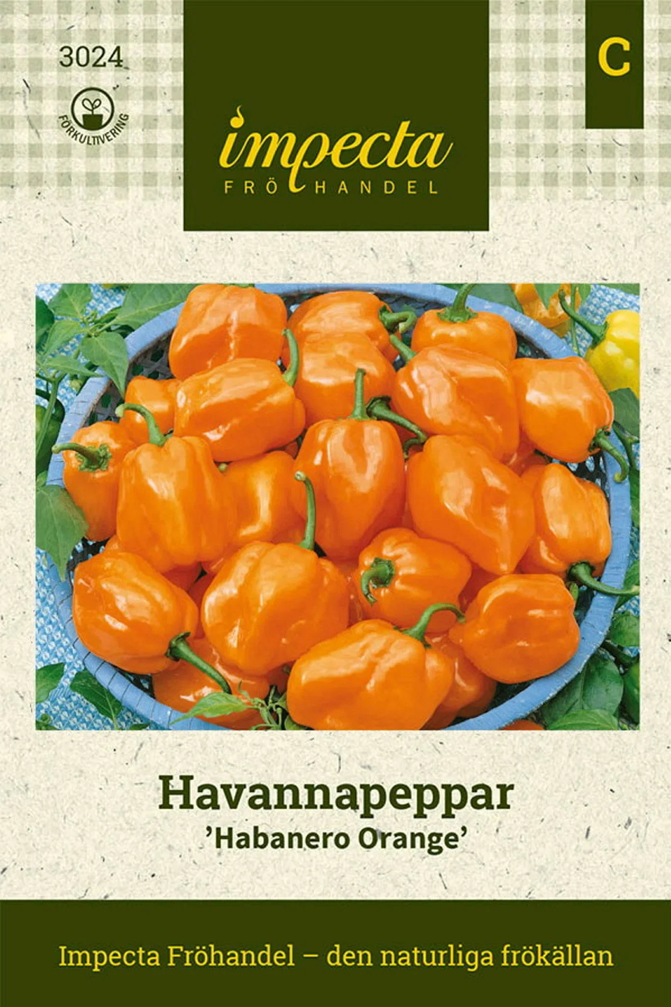 Capsicum chinense 'Habanero Orange'