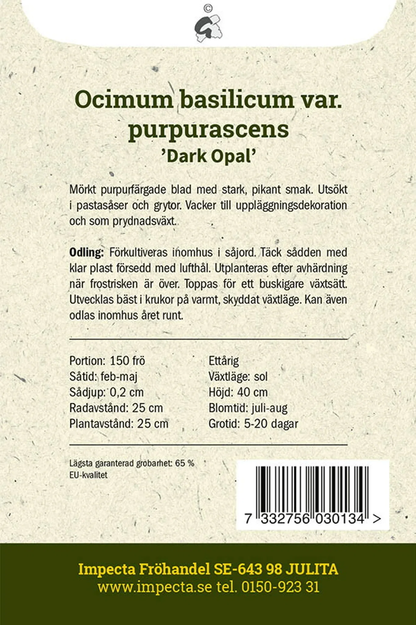 Lilla basilika 'Dark Opal'