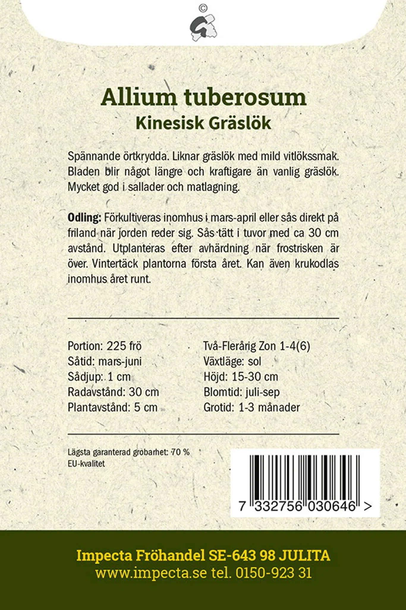 Kinesisk Gräslök