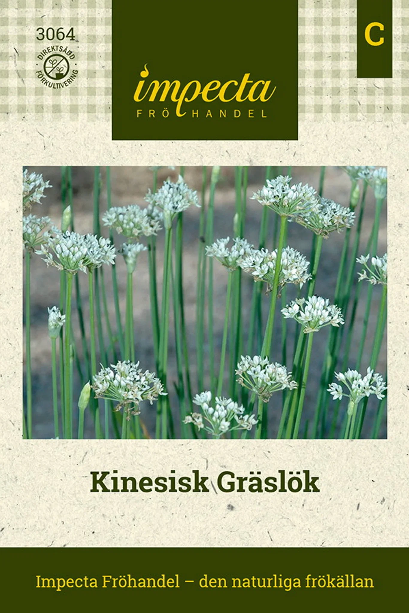 Kinesisk Gräslök