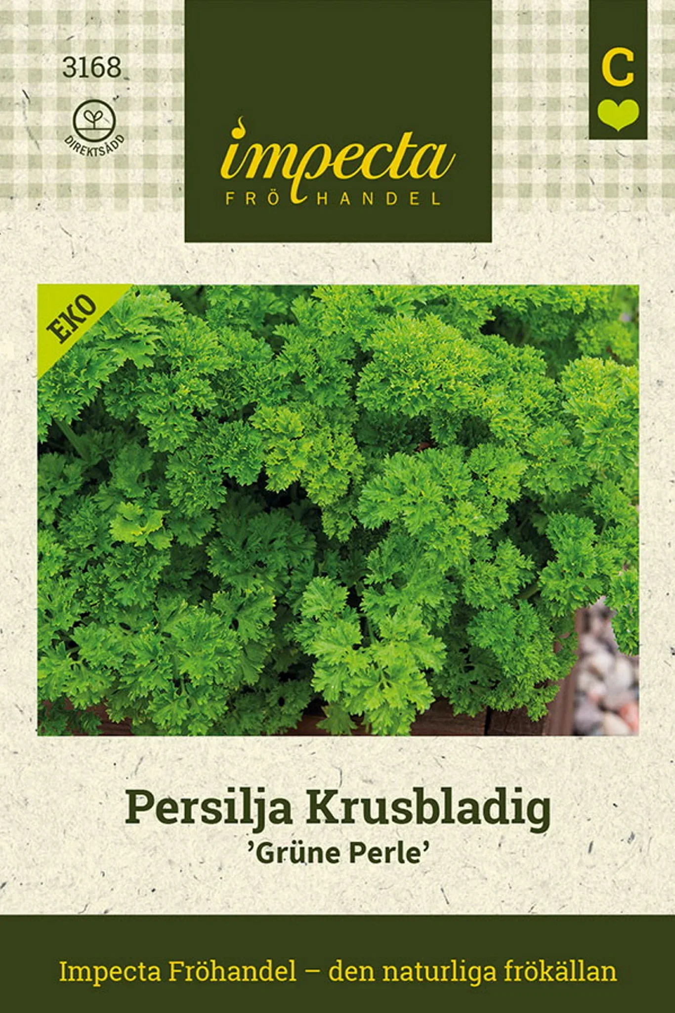 Krusbladet persille 'Green Pearl'