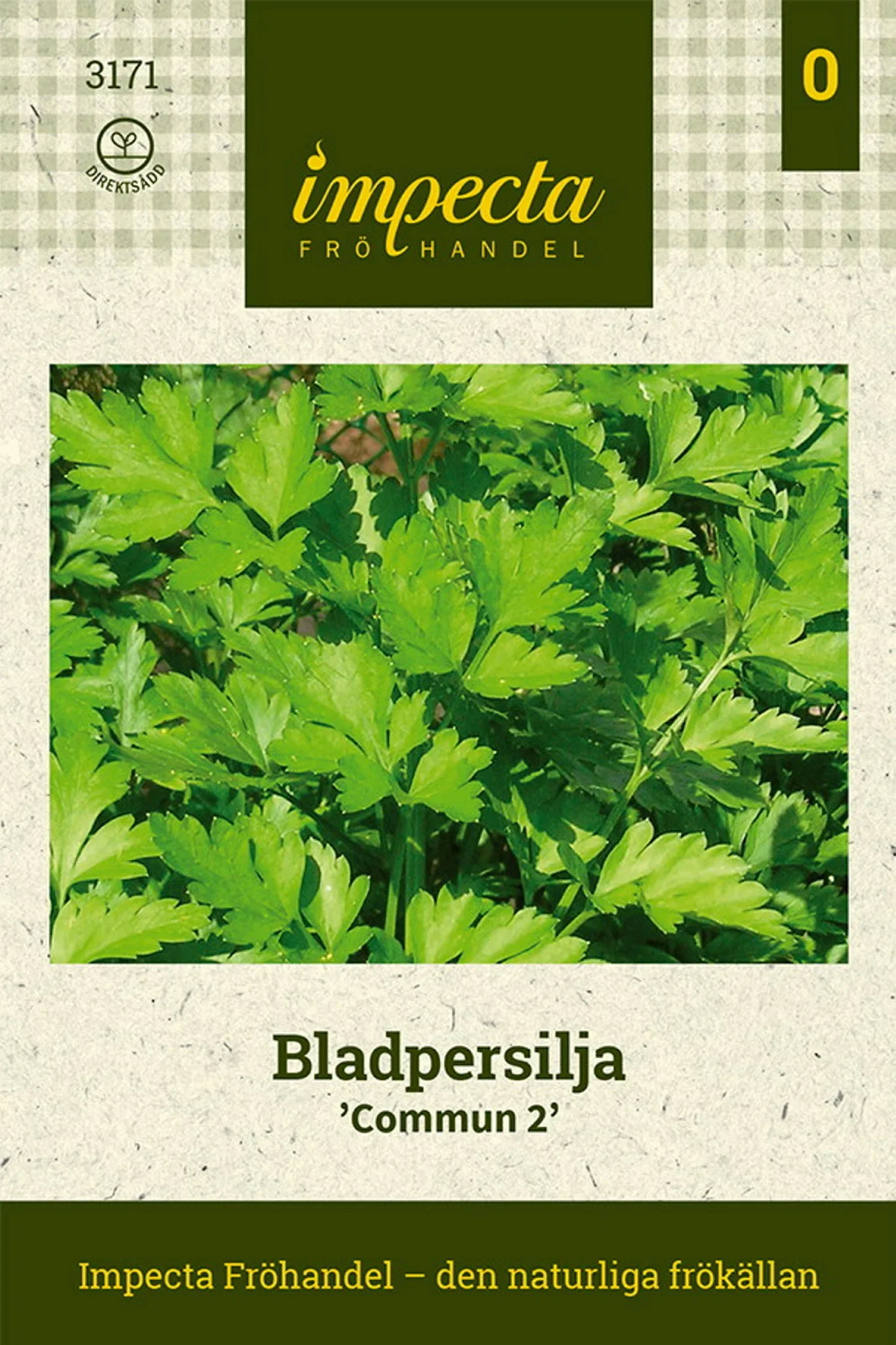 Petroselinum crispum (Foliosum-gr.) 'Plain Leaved 2'