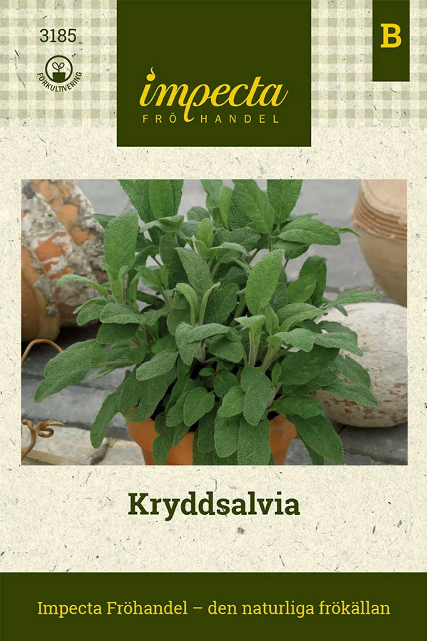 Kryddsalvia