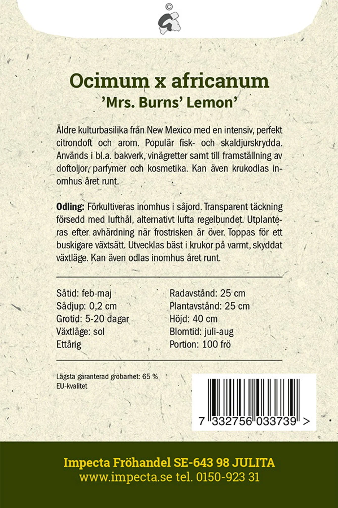Sitronbasilikum 'Mrs Burns' Lemon'