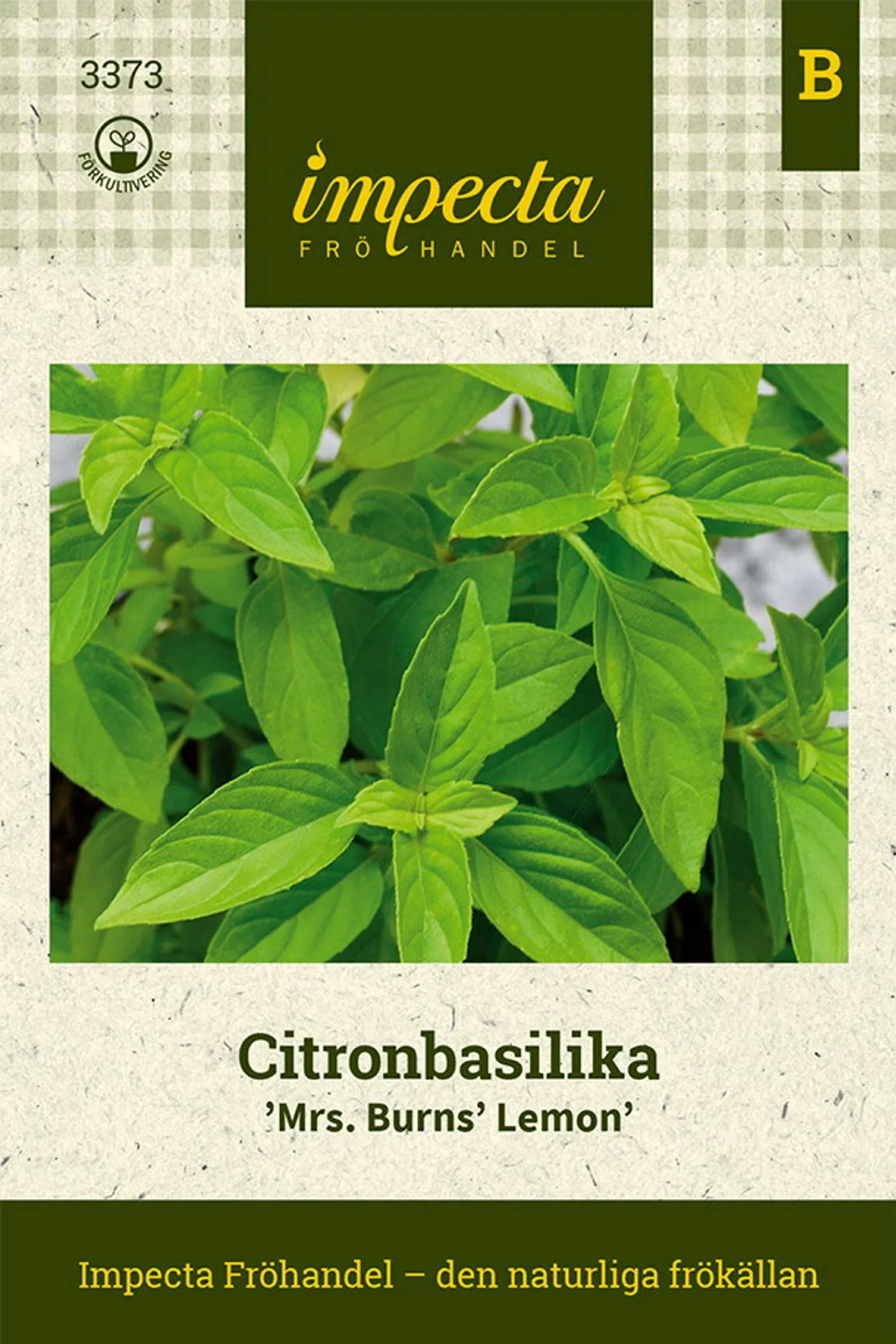 Sitronbasilikum 'Mrs Burns' Lemon'