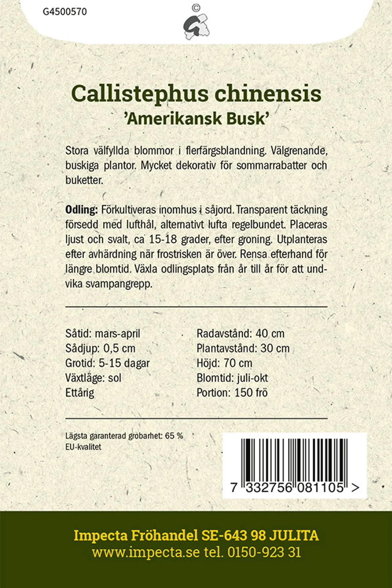 Callistephus chinensis 'Amerikansk Busk'