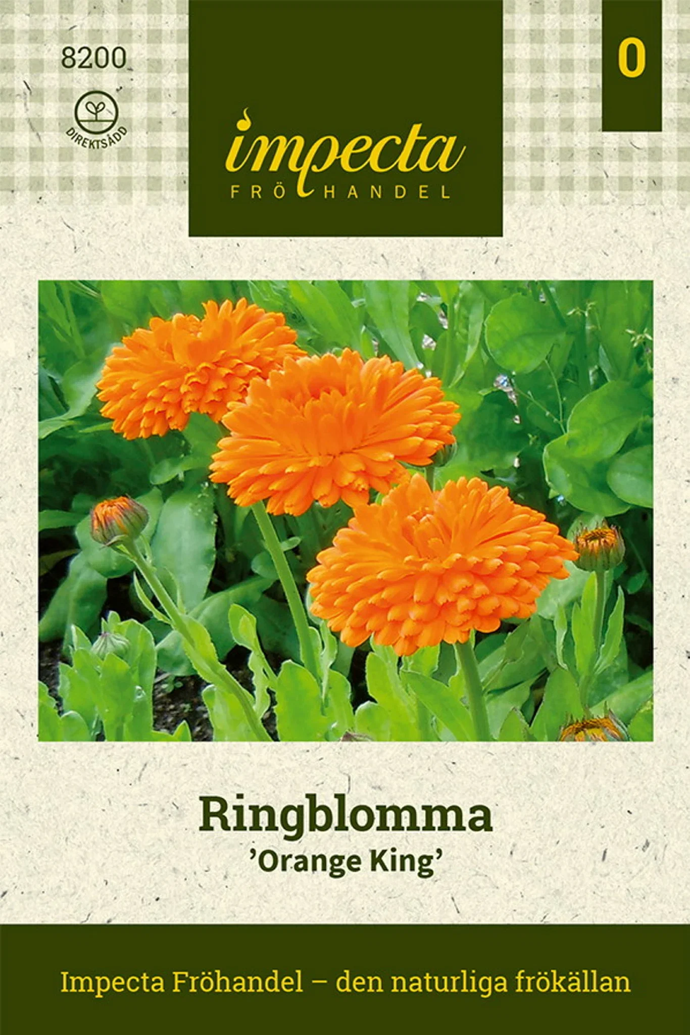 Calendula officinalis 'Orange King'
