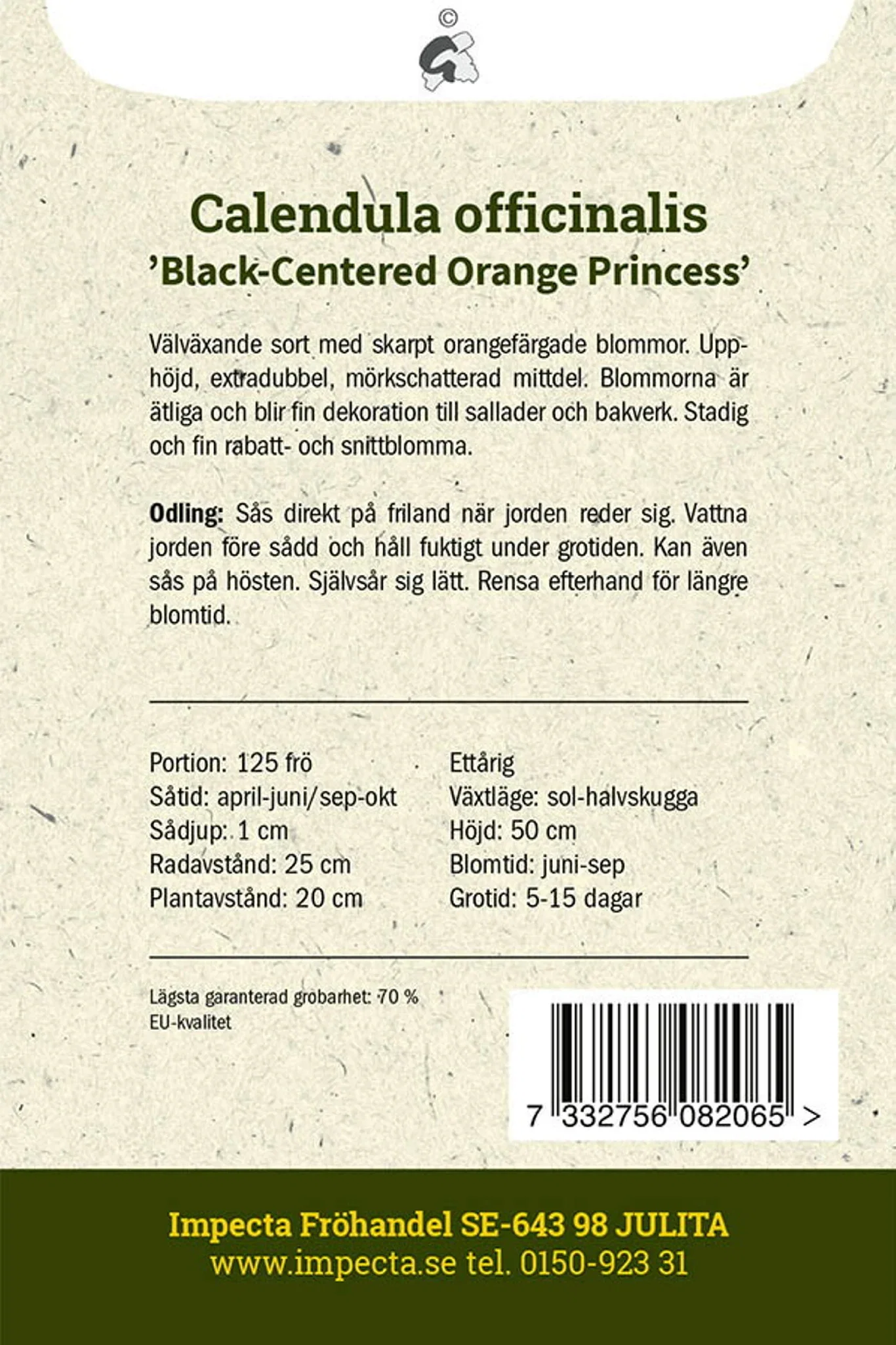 Ringblomst 'Black-Centered Orange Princess'