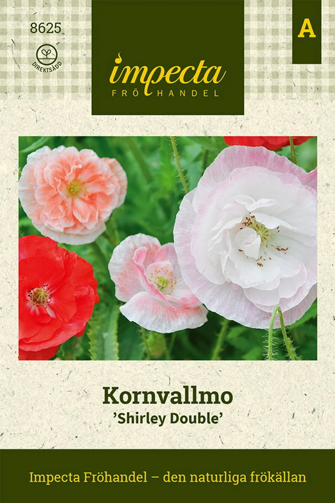 Kornvalmue 'Shirley Double'