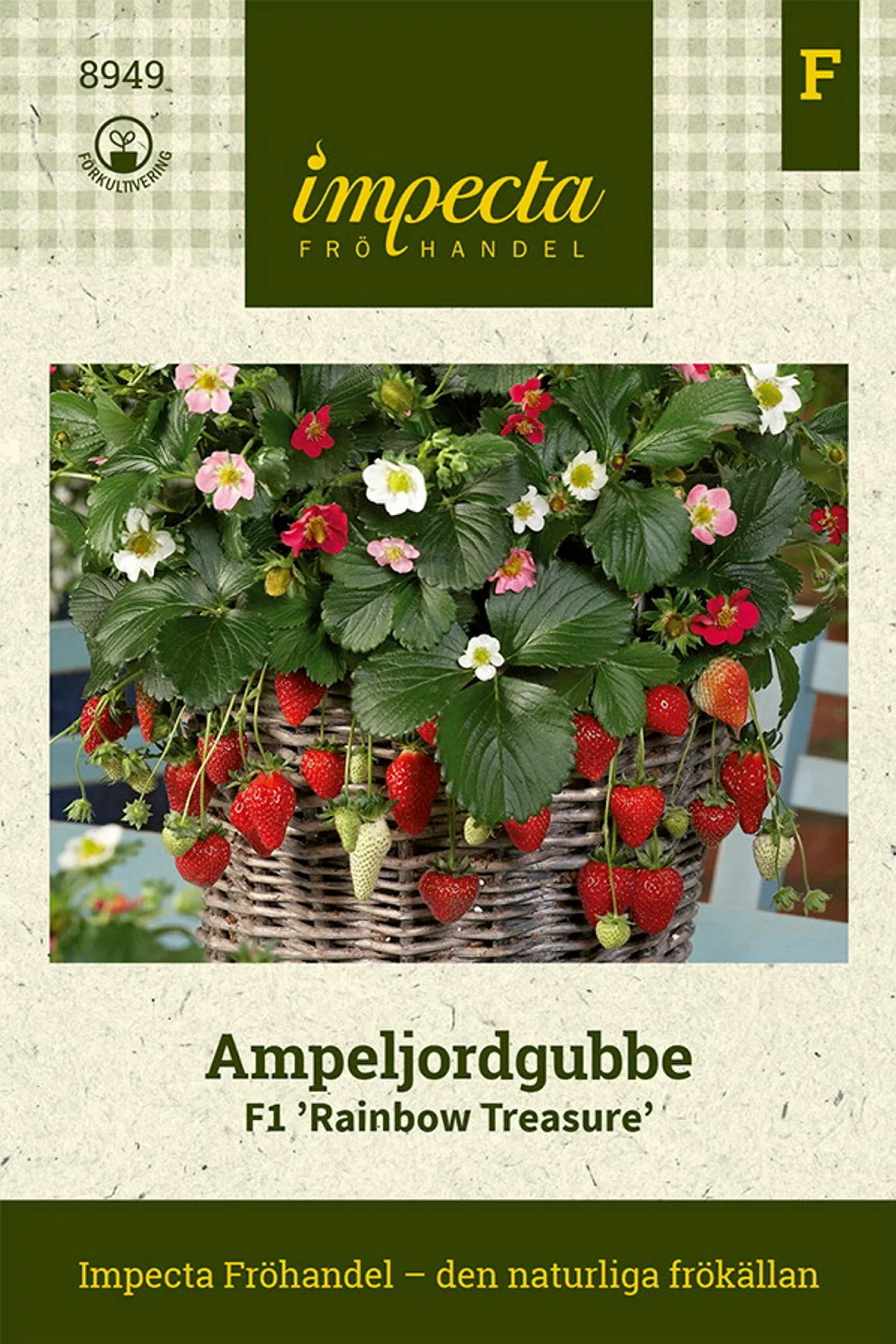Fragaria x ananassa F1 'Rainbow Treasure'