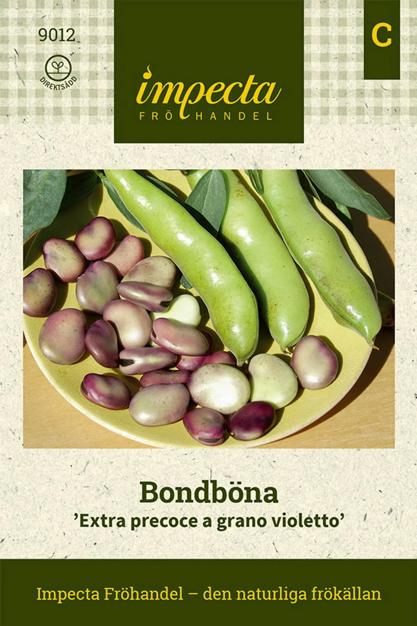 Bønne 'Extra precoce a grano violetto'