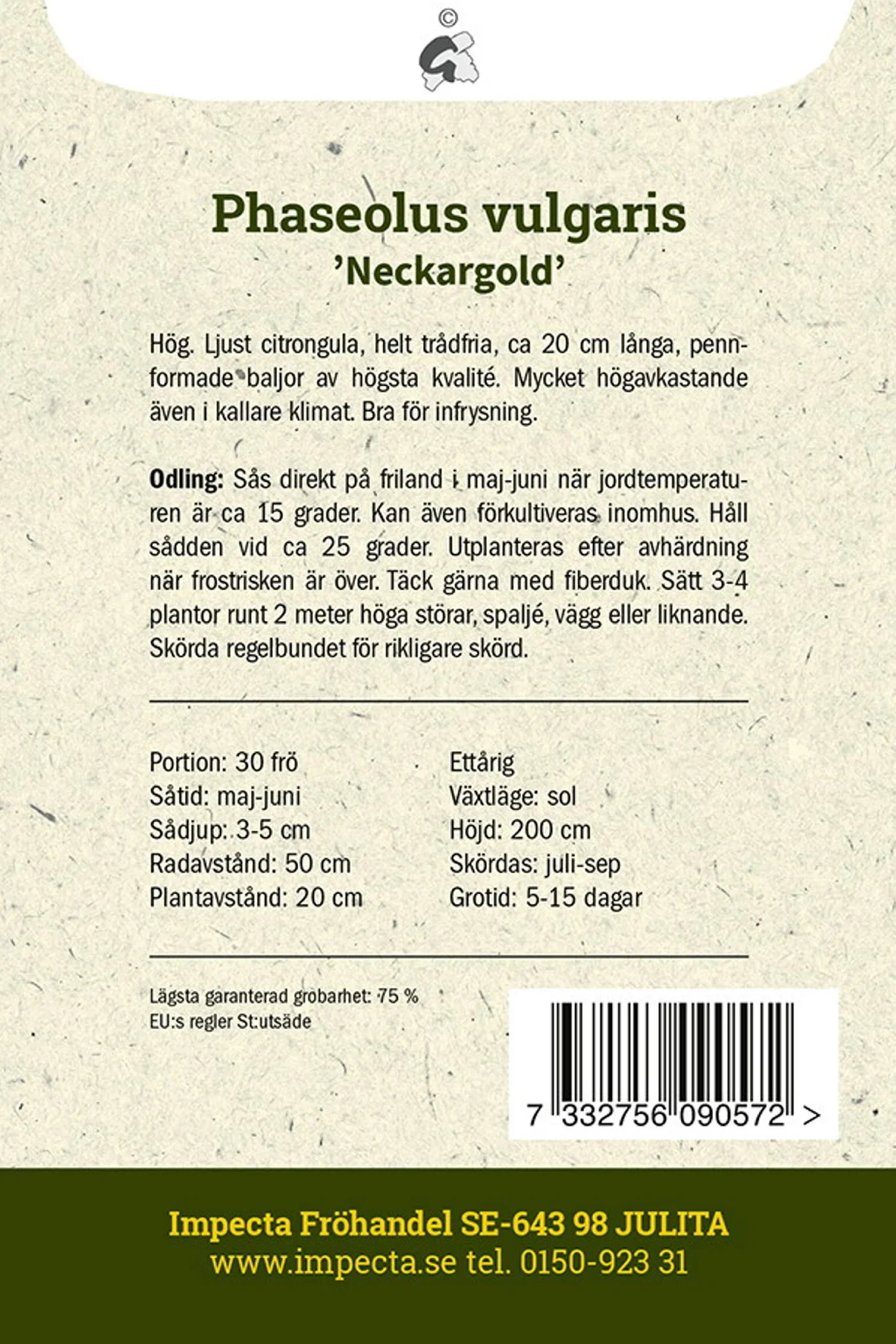 Phaseolus vulgaris 'Neckargold'