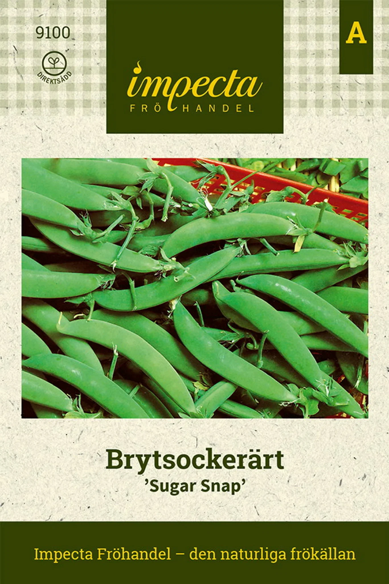 Pisum sativum 'Sugar Snap'