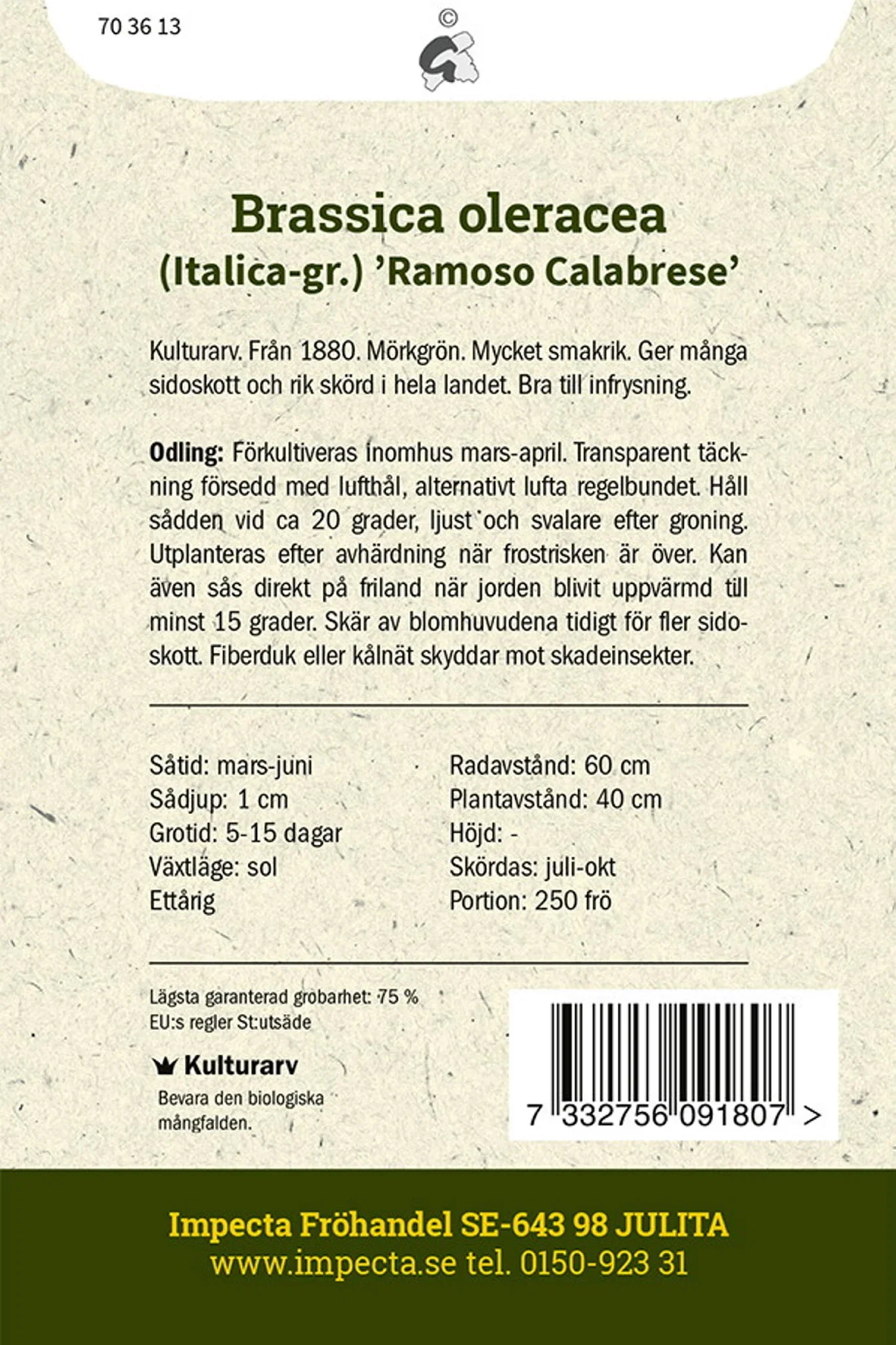 Brokkoli 'Ramoso Calabrese'