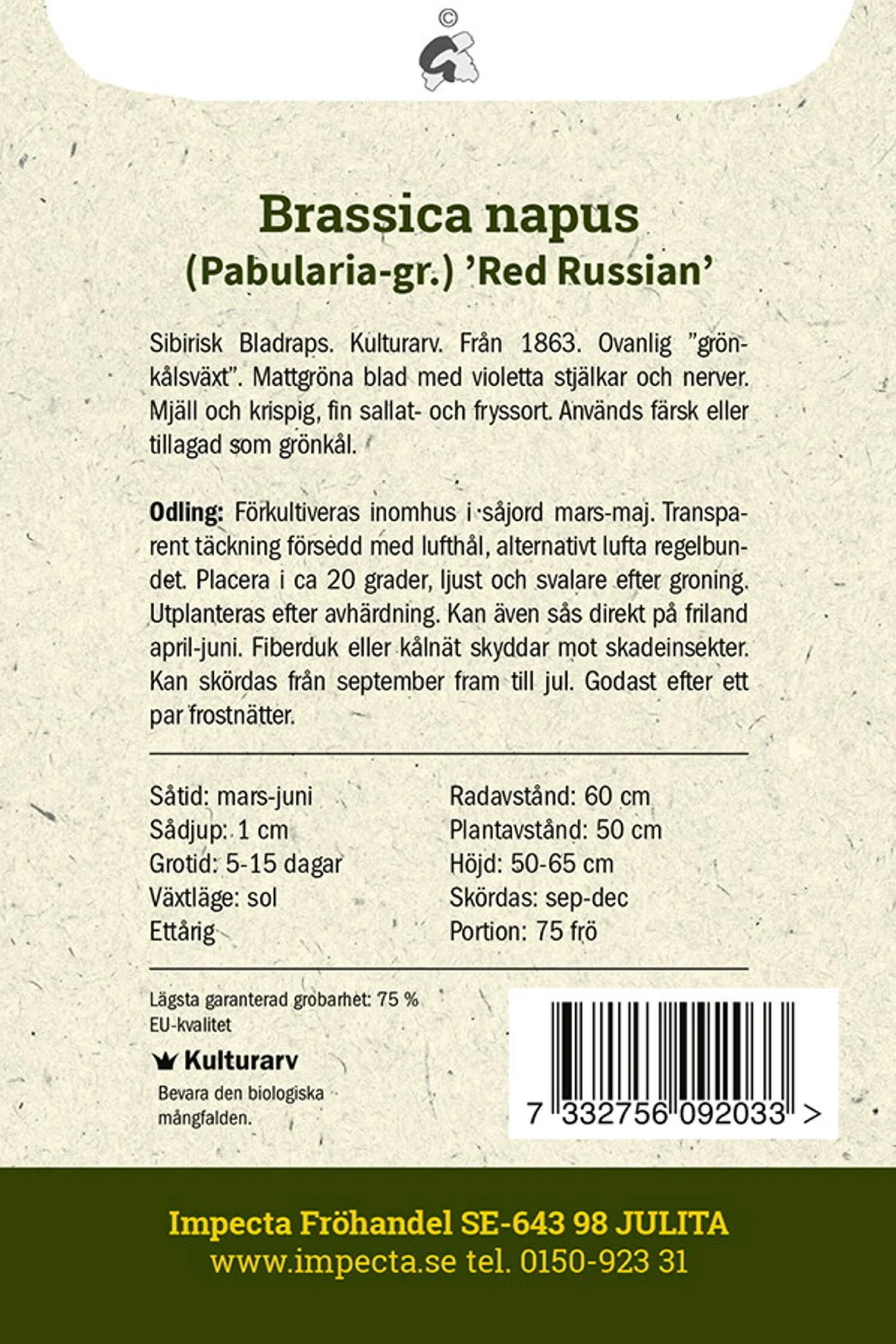 Grønnkål 'Red Russian'