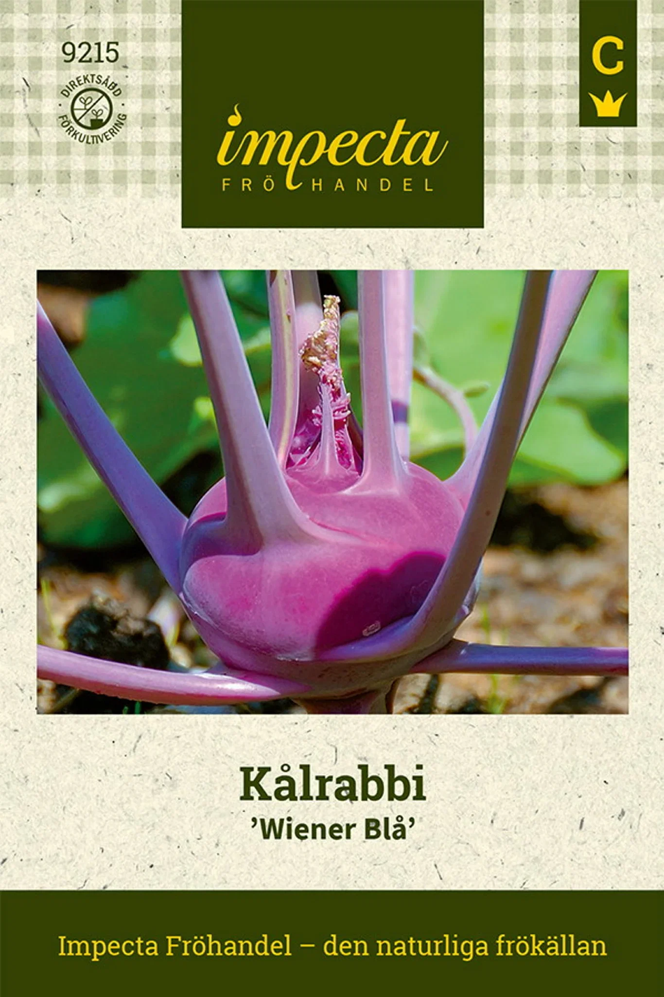 Kålrabi 'Vienna Blue'