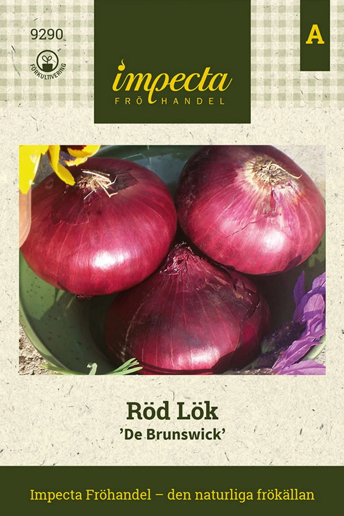 Rødløk 'Red Brunswick'