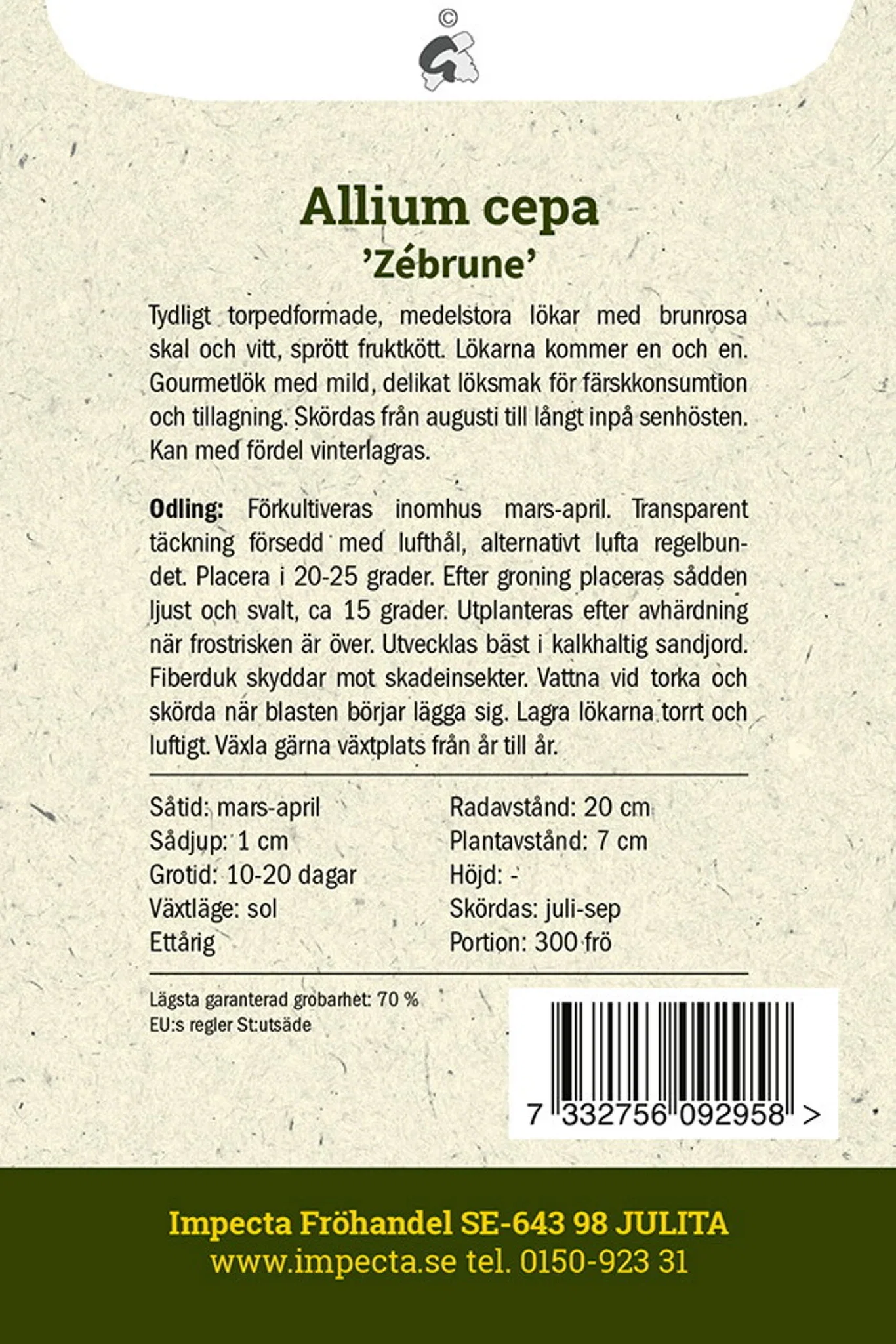 Sjalottløk 'Zébrune'