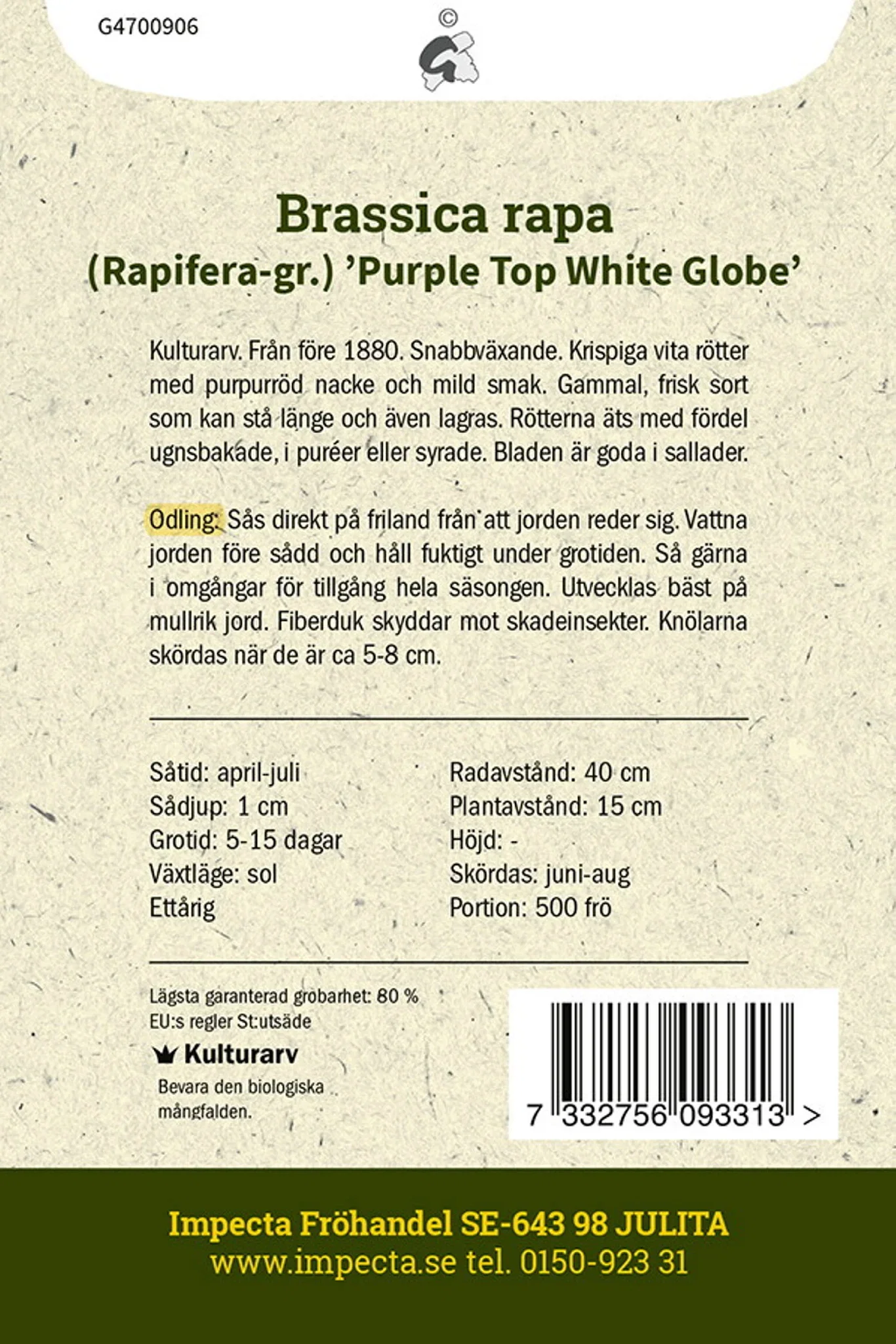 Brassica rapa (Rapifera-gr.) 'Purple Top White Globe'