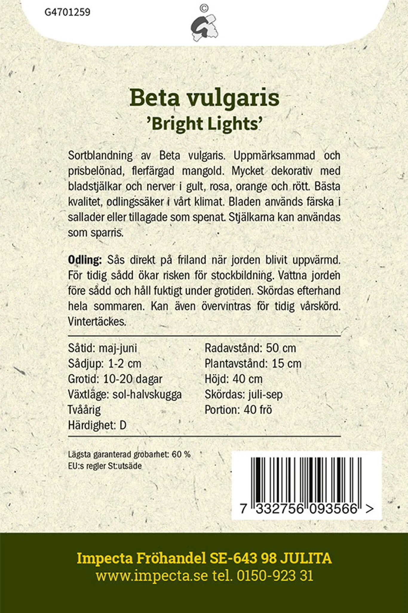 Mangold 'Bright Lights'