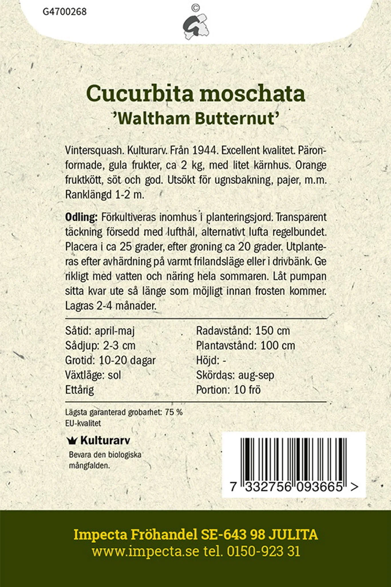 Cucurbita moschata 'Waltham Butternut'