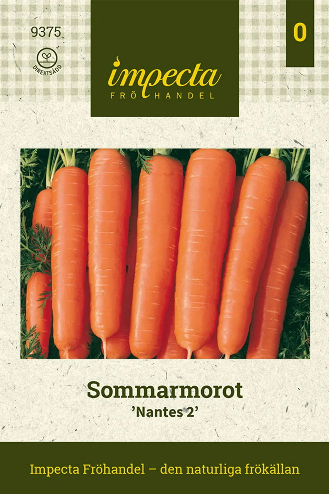 Daucus carota 'Nantes 2'