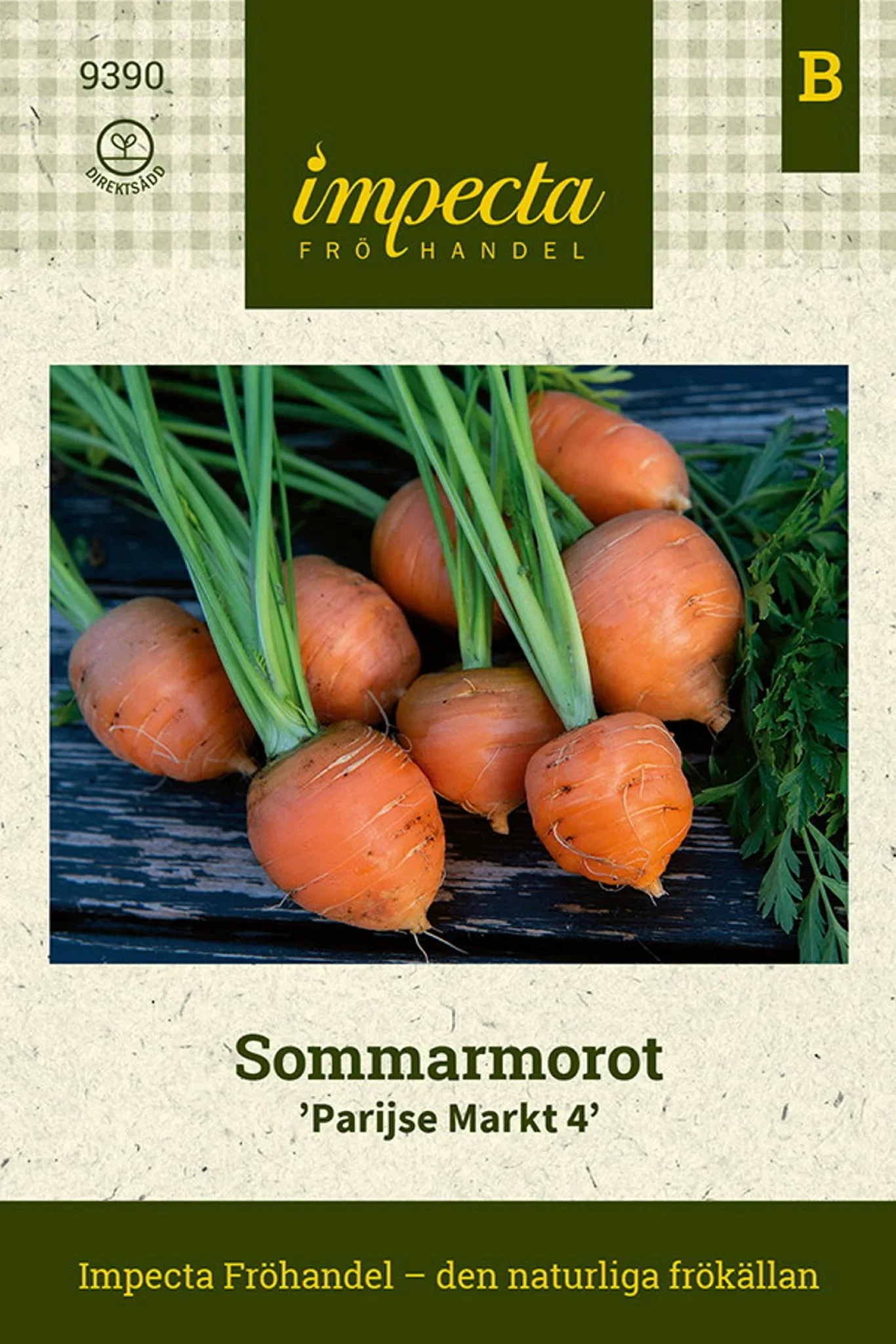 Sommergulrot 'Pariser Markt 4'