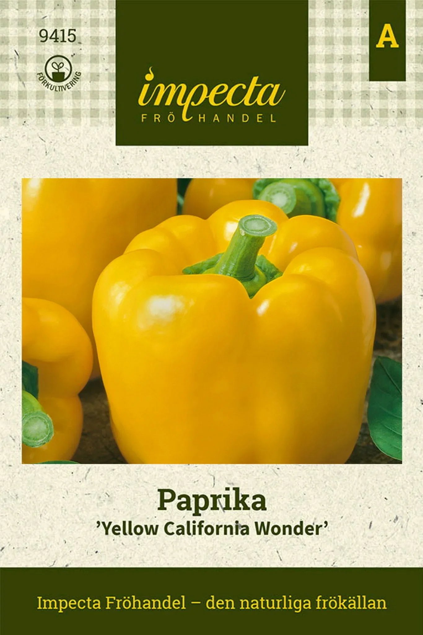 Capsicum annuum 'Yellow California Wonder'