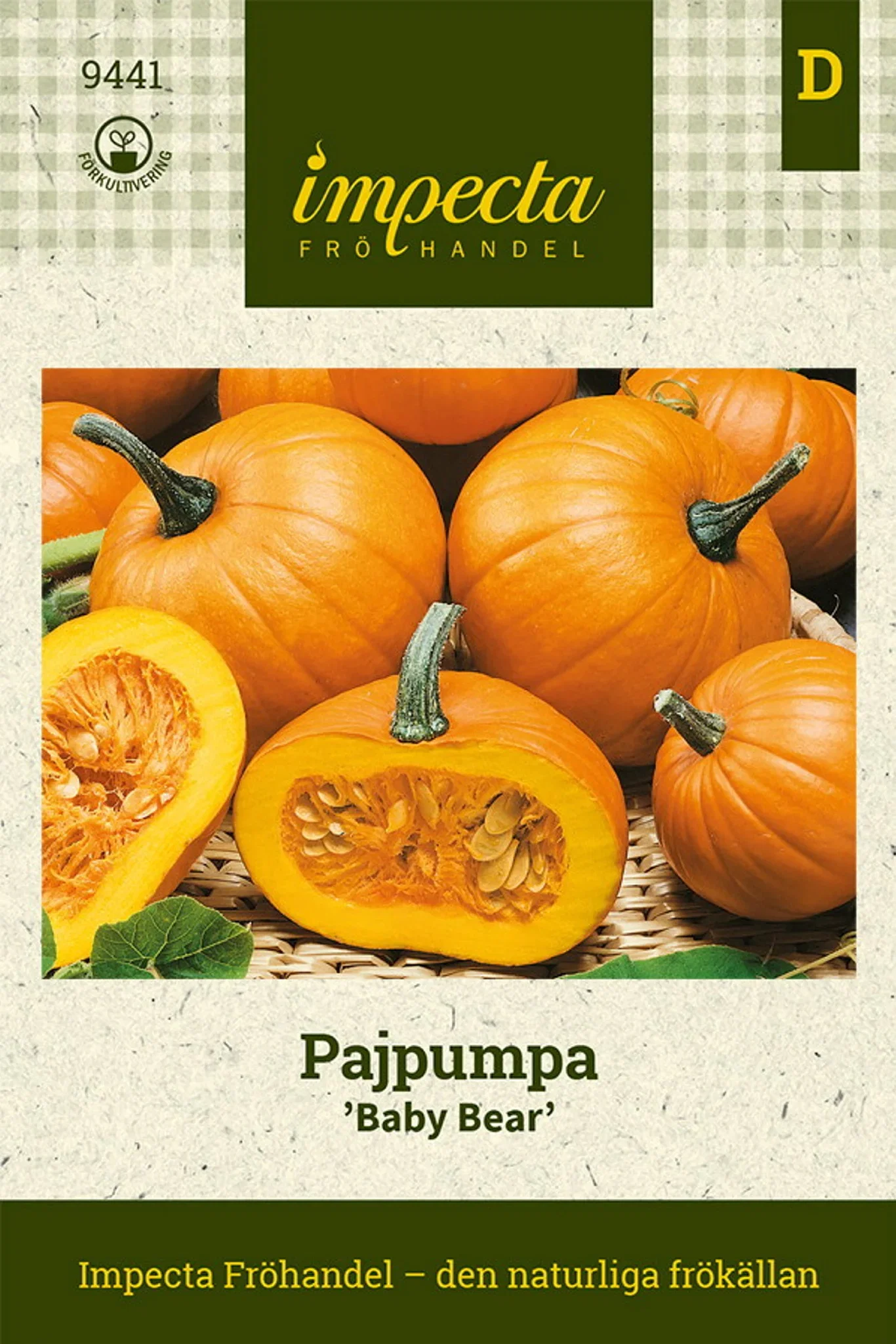 Cucurbita pepo 'Baby Bear'