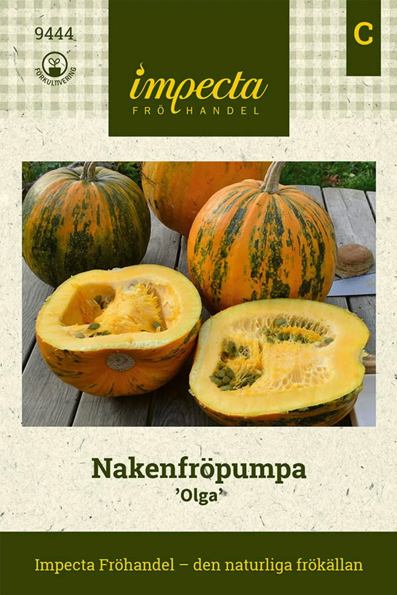 Cucurbita pepo 'Olga'