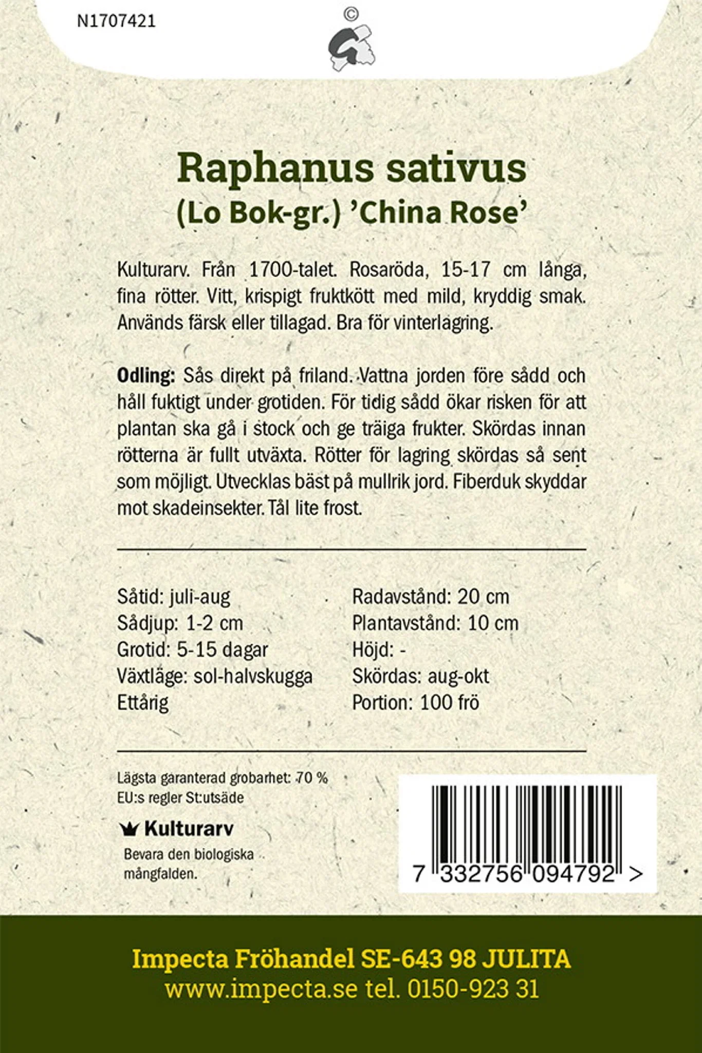 Kinesisk reddik 'China Rose'