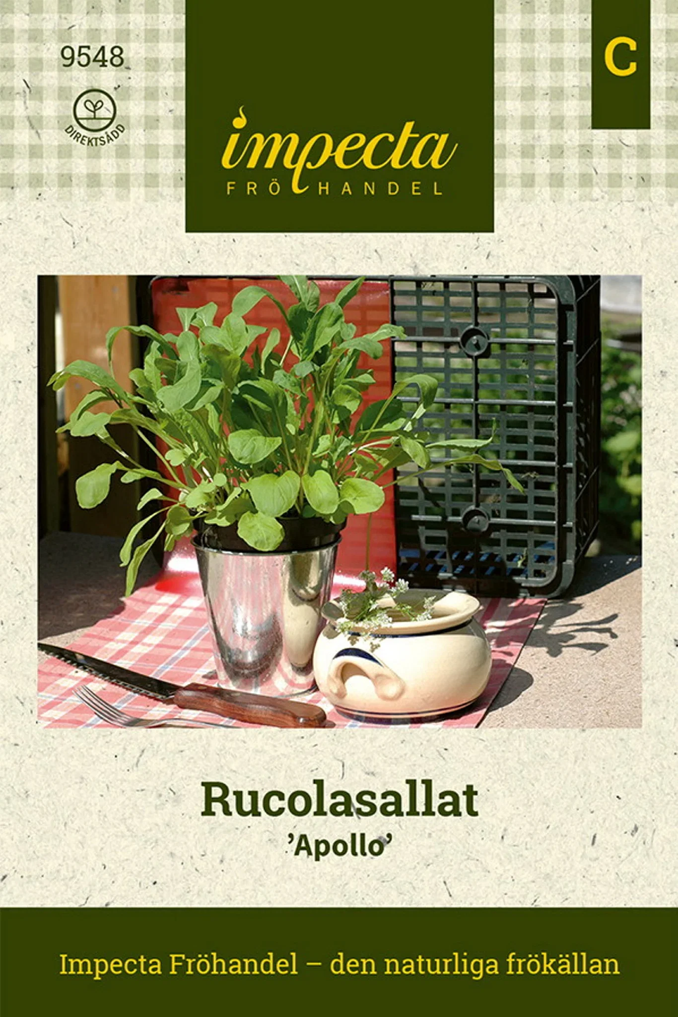 Rucolasalat 'Apollo'