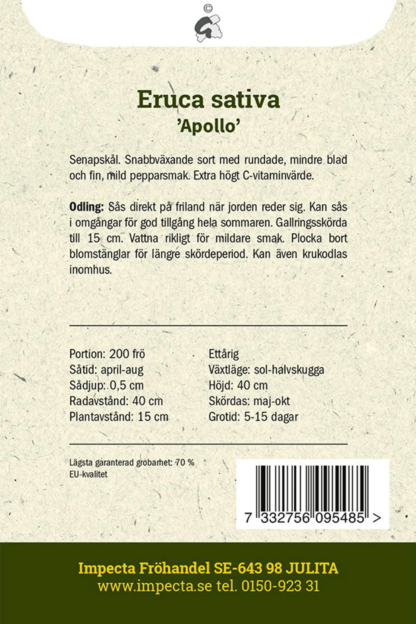 Rucolasalat 'Apollo'