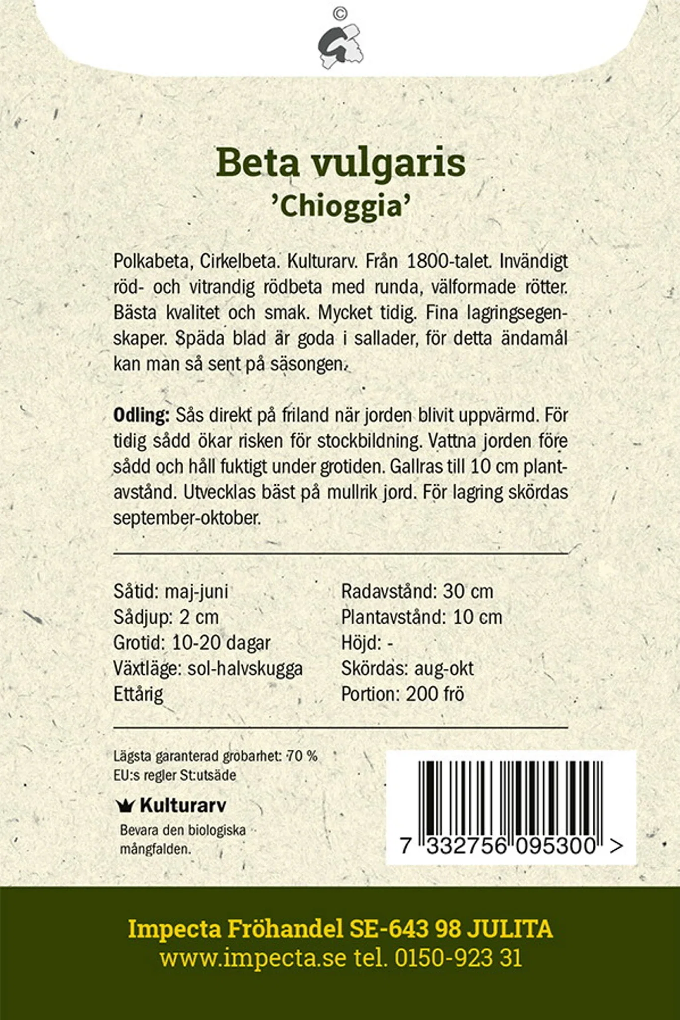 Beta vulgaris 'Chioggia'